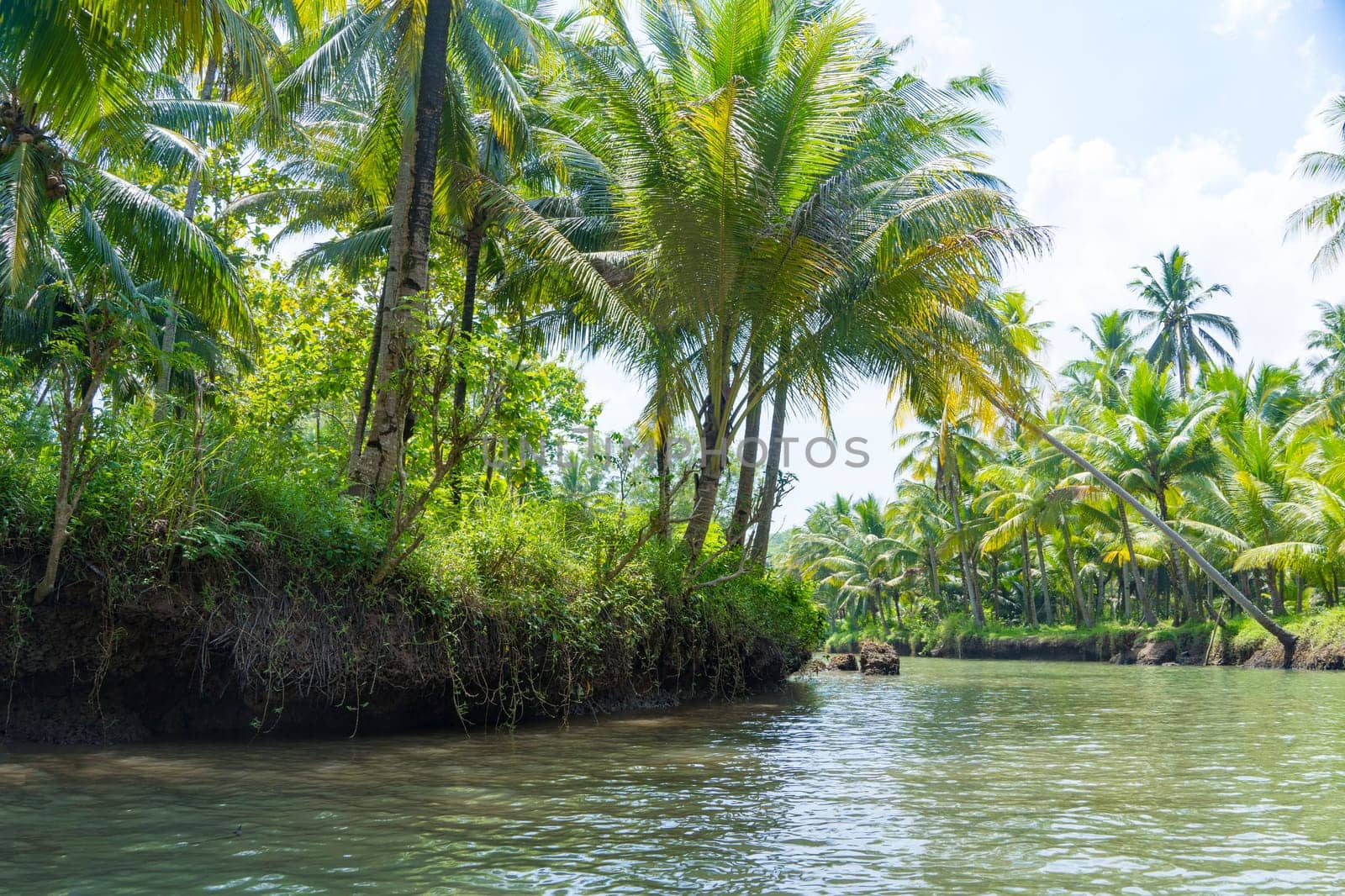 Cruising on the beautiful and calm river with trees at Kali Cokel, Pacitan, Indonesia. Nature and wildlife photography.