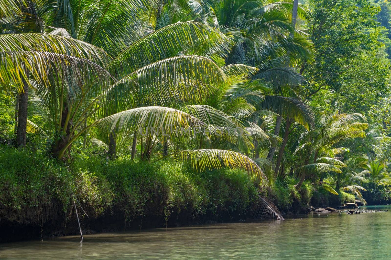 Cruising on the beautiful and calm river with trees at Kali Cokel, Pacitan, Indonesia. Nature and wildlife photography.