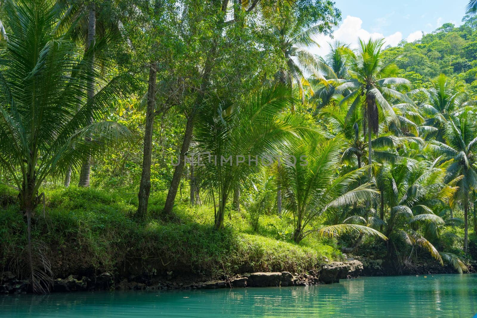 Cruising on the beautiful and calm river with trees at Kali Cokel, Pacitan, Indonesia. Nature and wildlife photography.