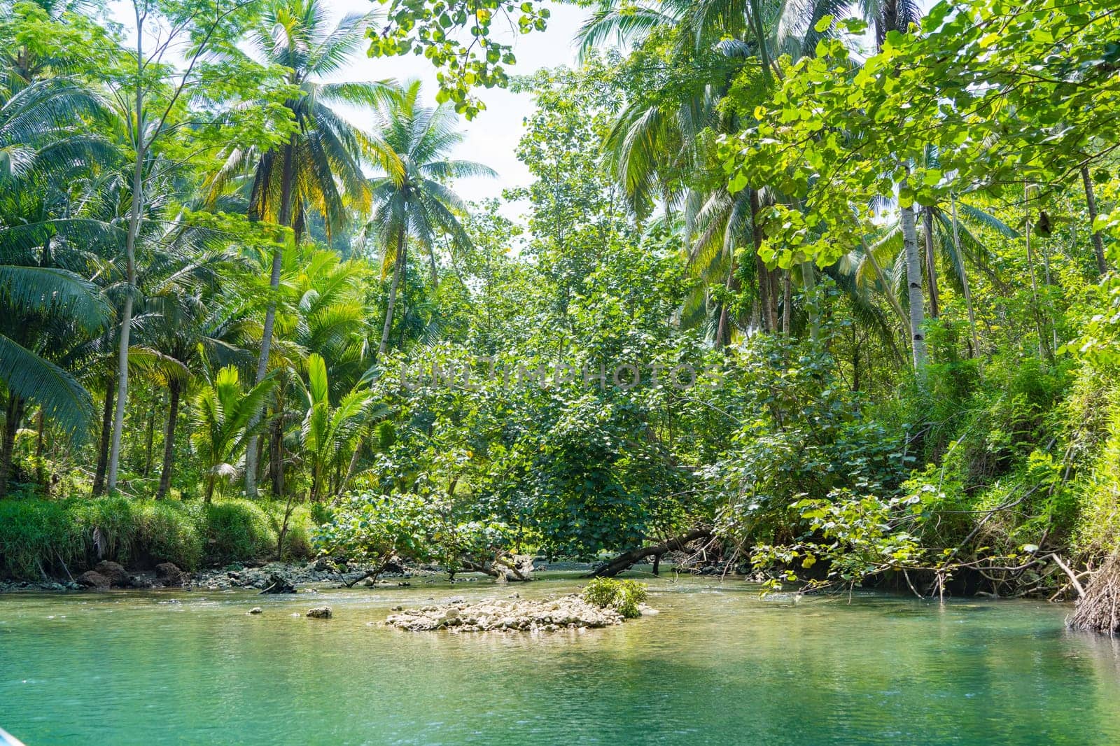 Cruising on the beautiful and calm river with trees at Kali Cokel, Pacitan, Indonesia. Nature and wildlife photography.