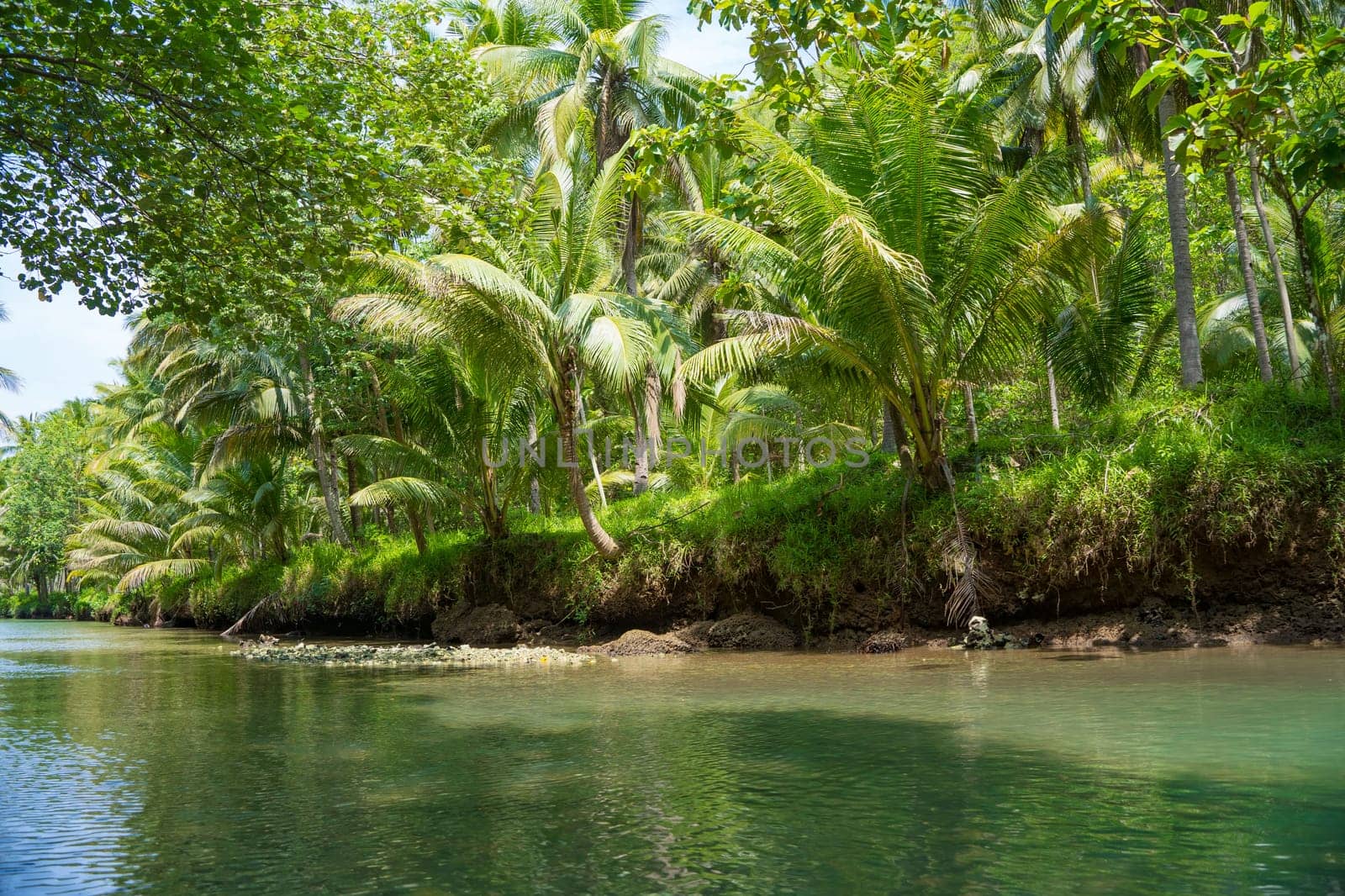 Cruising on the beautiful and calm river with trees at Kali Cokel, Pacitan, Indonesia. Nature and wildlife photography.