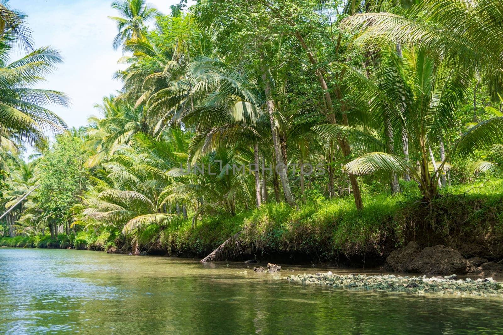 Cruising on the beautiful and calm river with trees at Kali Cokel, Pacitan, Indonesia. Nature and wildlife photography.