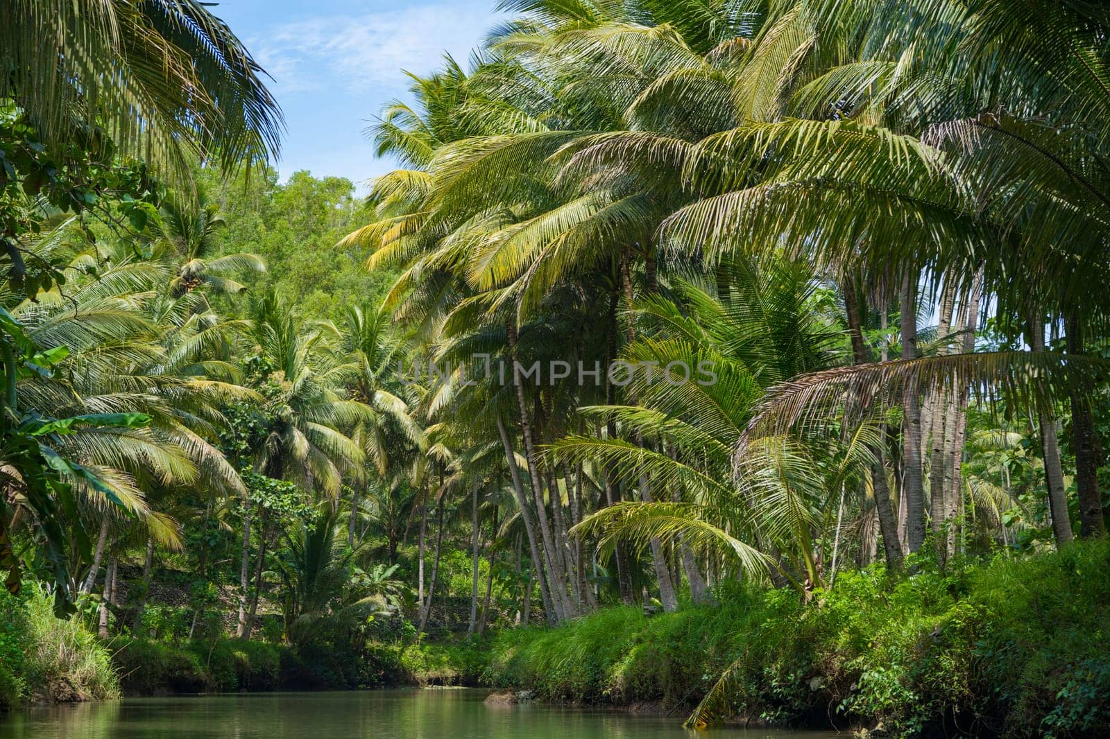 Cruising on the beautiful and calm river with trees at Kali Cokel, Pacitan, Indonesia. Nature and wildlife photography.