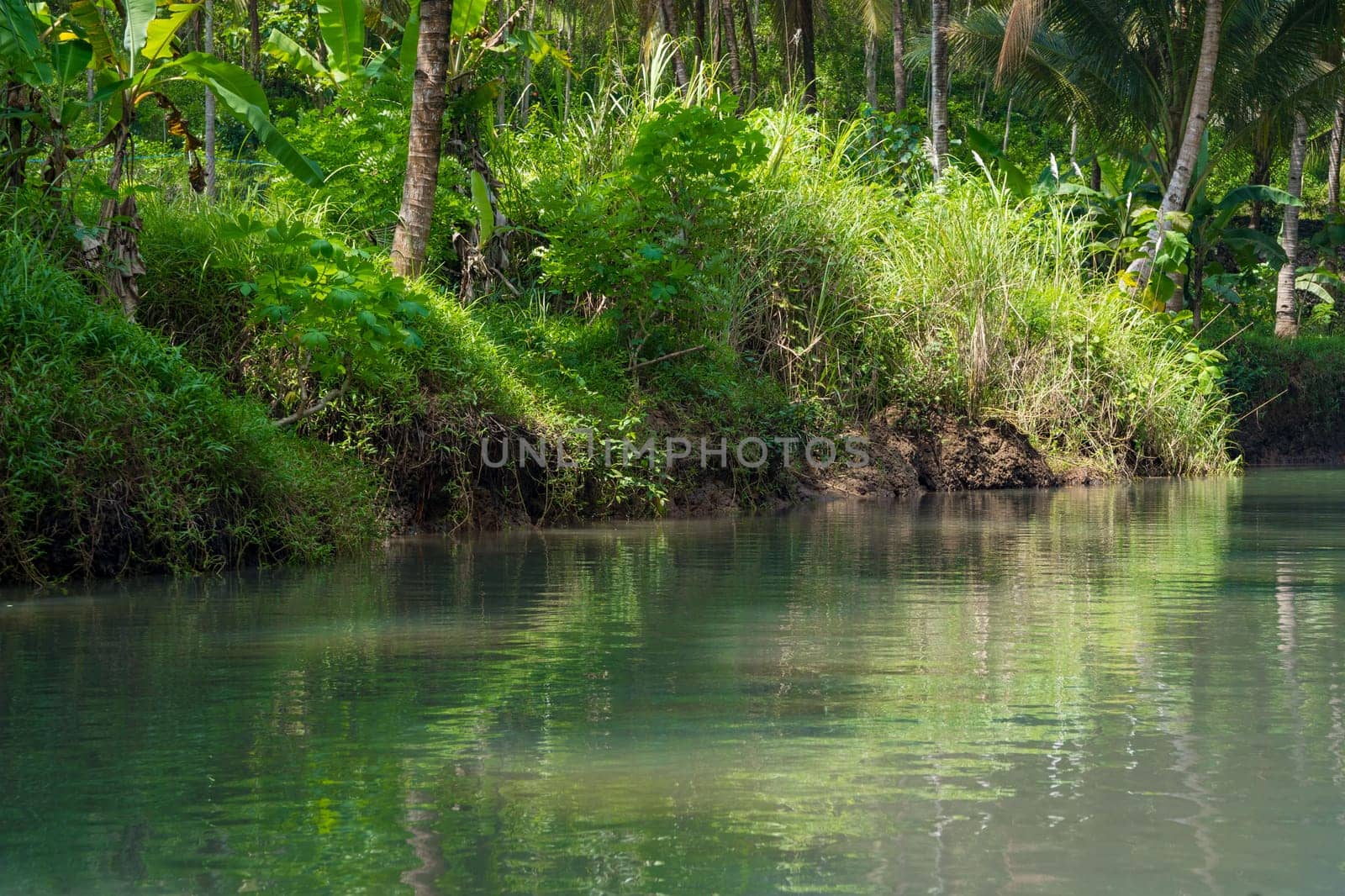 Cruising on the beautiful and calm river with trees at Kali Cokel, Pacitan, Indonesia. Nature and wildlife photography.