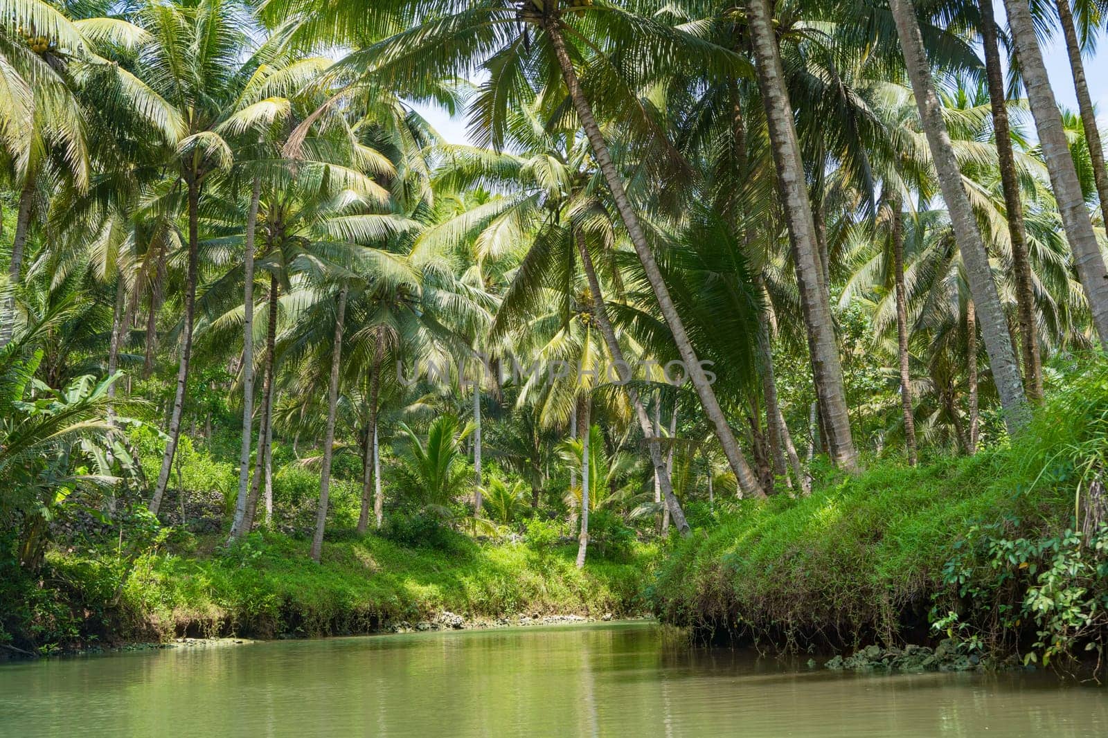 Cruising on the beautiful and calm river with trees at Kali Cokel, Pacitan, Indonesia. Nature and wildlife photography.