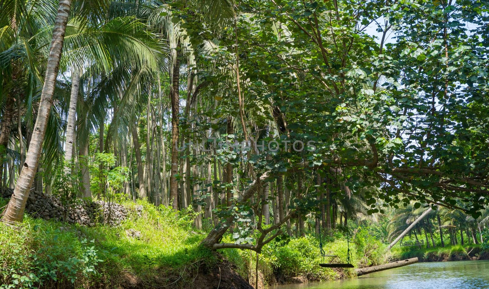 Cruising on the beautiful and calm river with trees at Kali Cokel, Pacitan, Indonesia. Nature and wildlife photography.