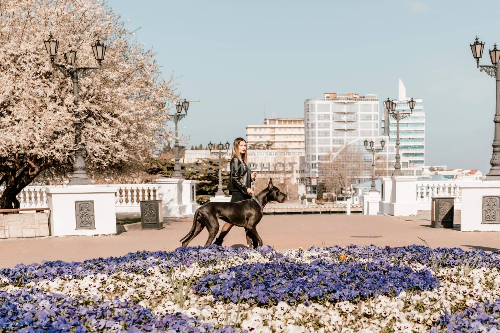 A woman walks with her Great Dane in an urban setting, enjoying the outdoors and the company of her dog