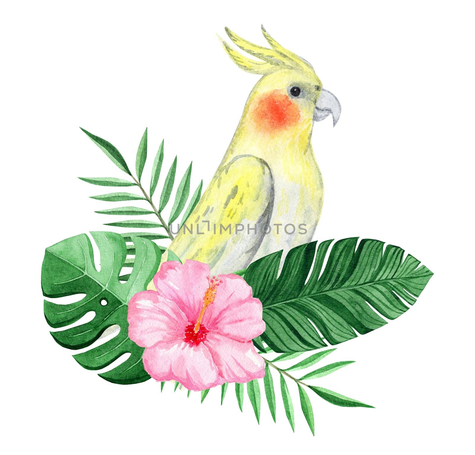 Watercolor corella parrot and tropical leaves isolated on white background. Hand drawn exotic bird illustration
