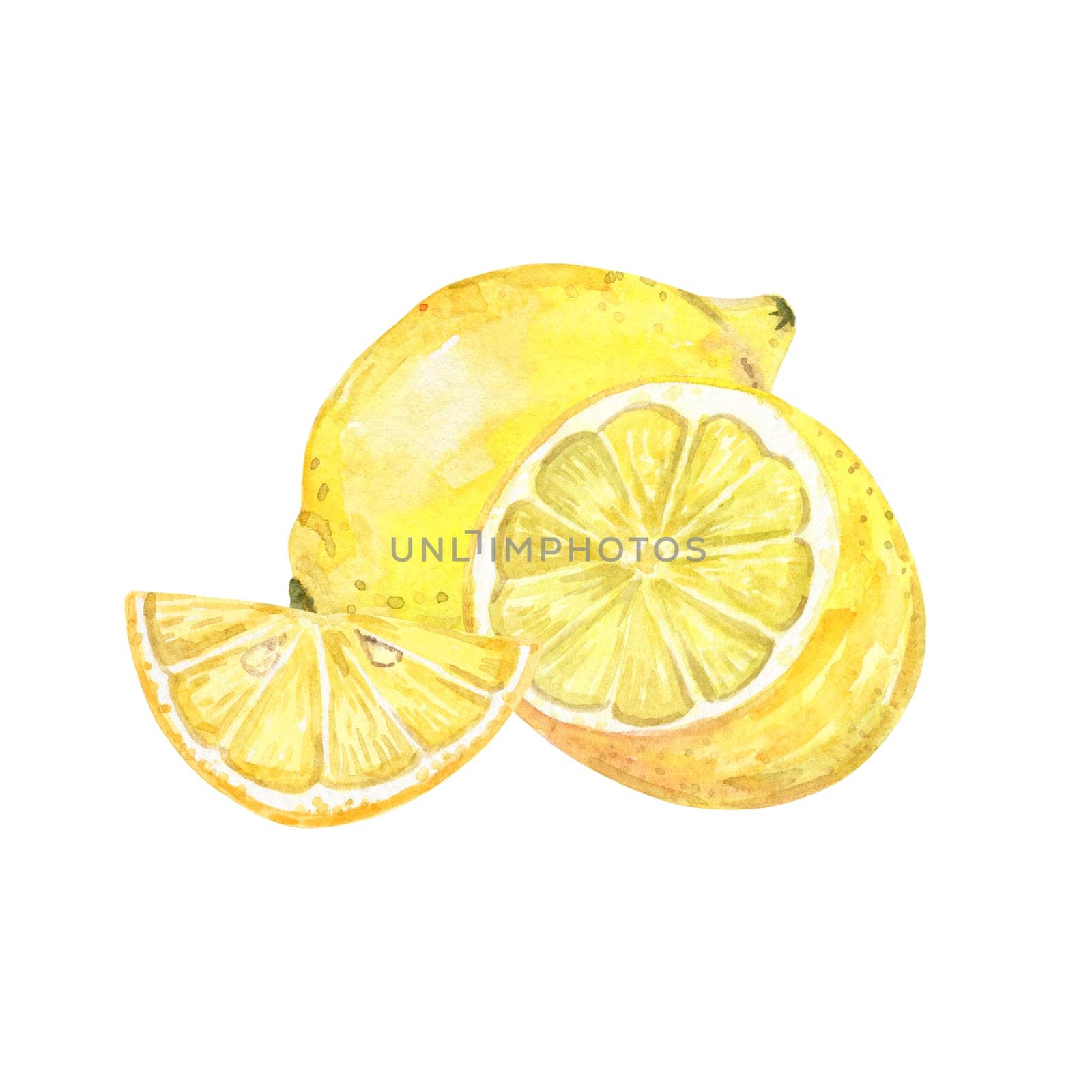 Watercolor lemon composition isolated on white . Hand drawn citrus illustration by dreamloud