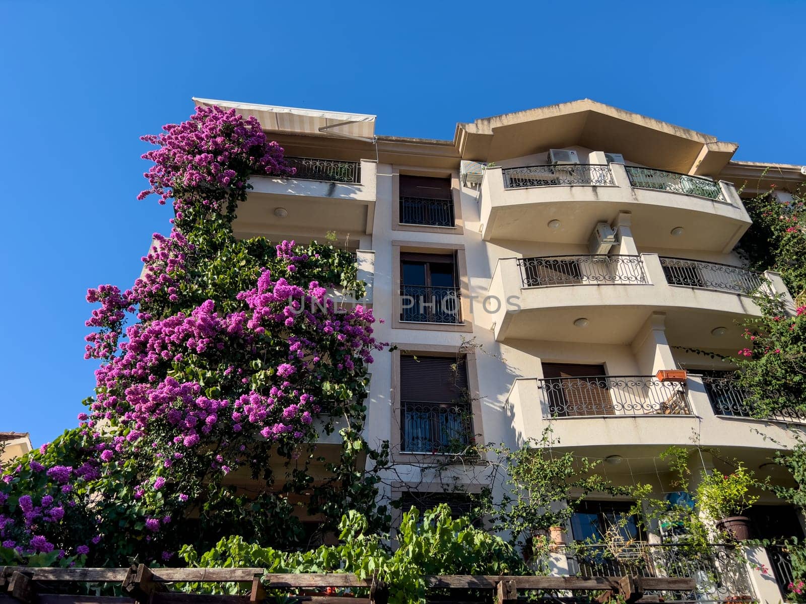 Multi-storey hotel with terraces overgrown with blooming lilacs. High quality photo