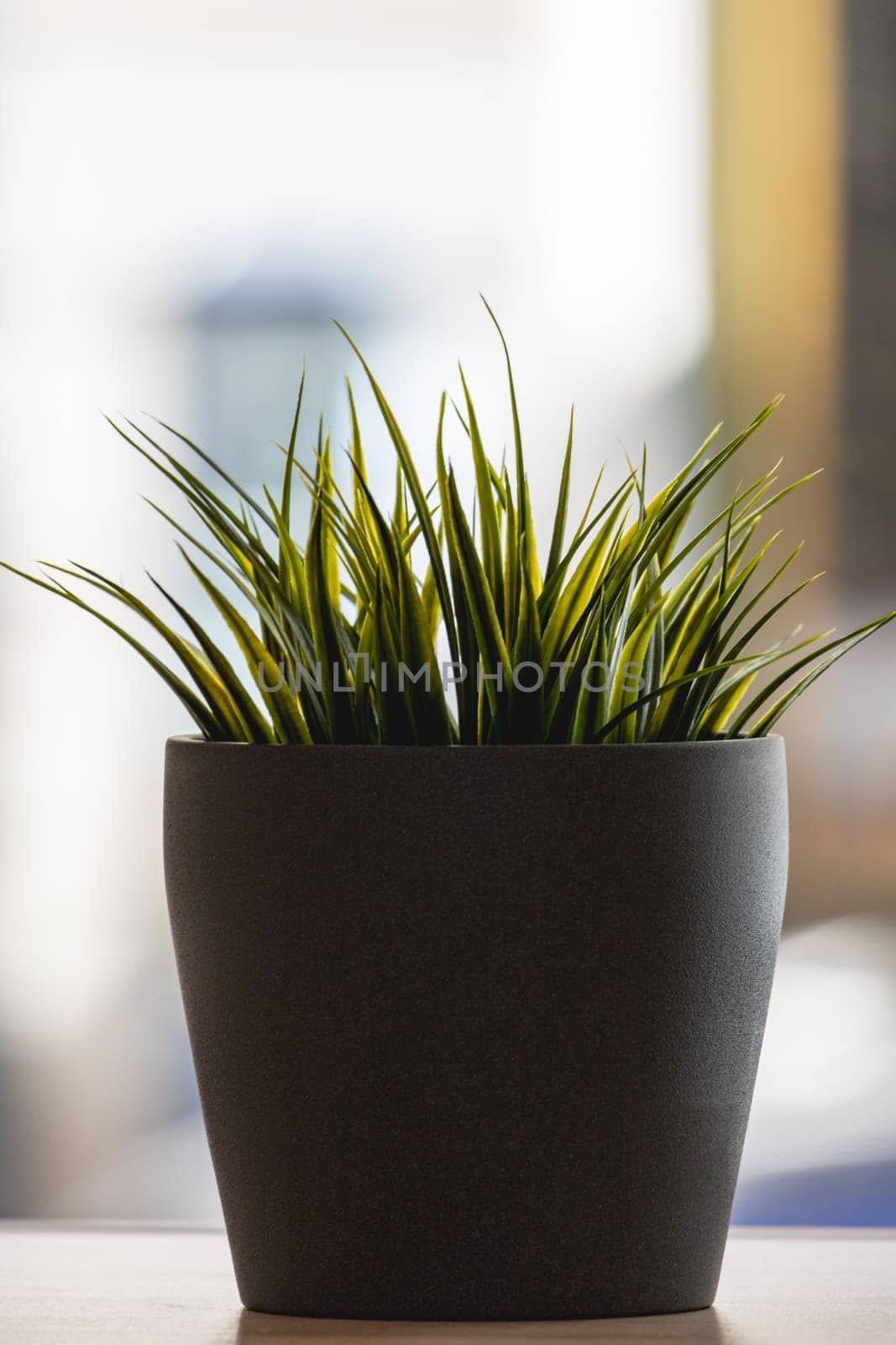 Green artificial grass with a lot of plastic stems in gray concrete flower pot