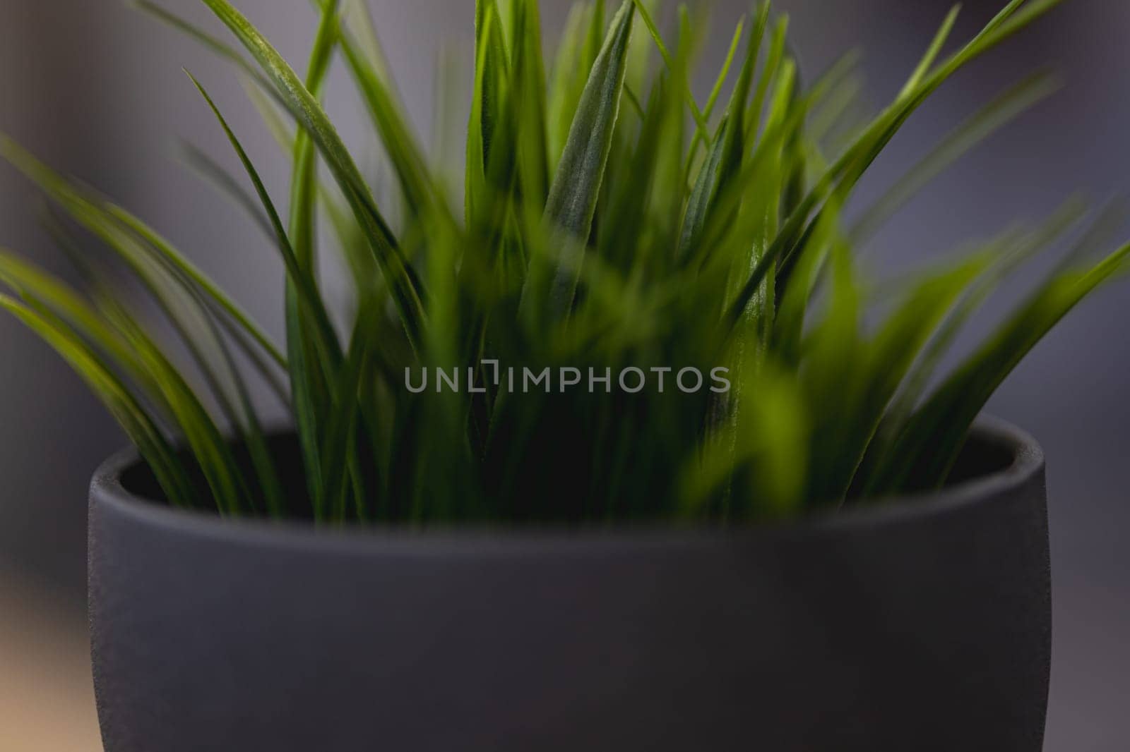 Green artificial grass with a lot of plastic stems in gray concrete flower pot