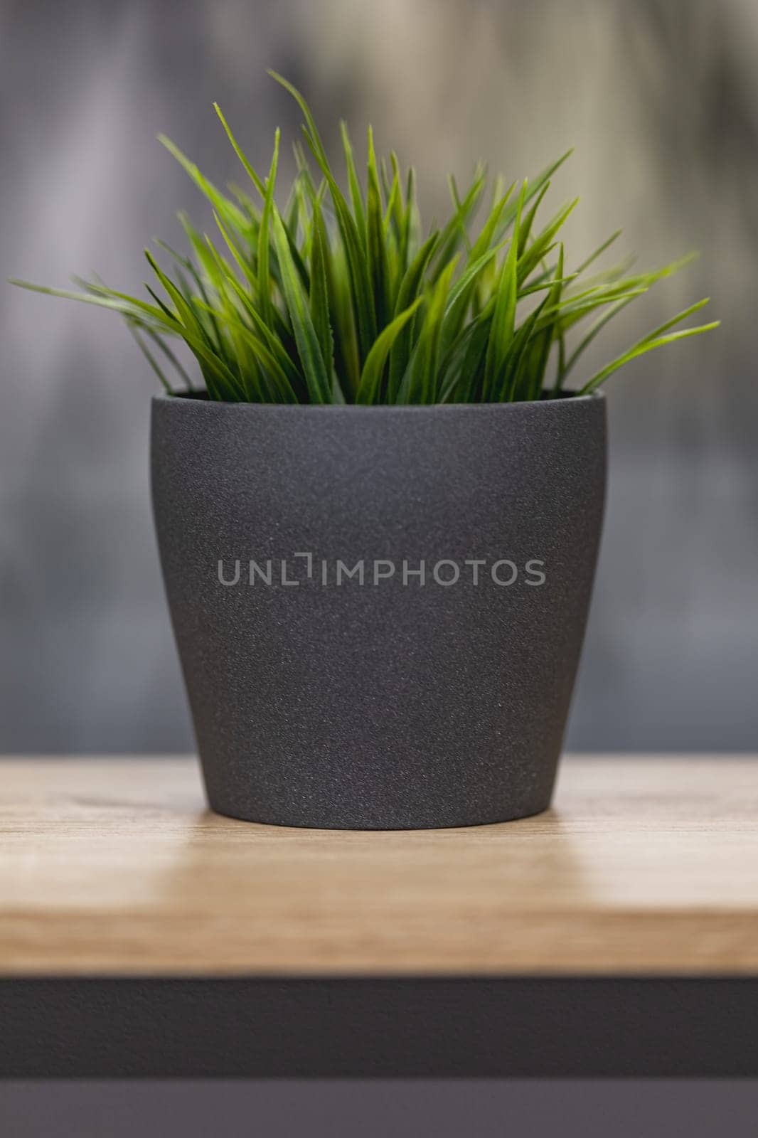 Green artificial grass with a lot of plastic stems in gray concrete flower pot by Wierzchu