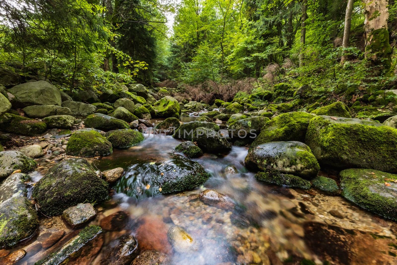 Beautiful small waterfall full of small and big rocks and stones with green trees around next to mountain trail in Giant mountains  by Wierzchu