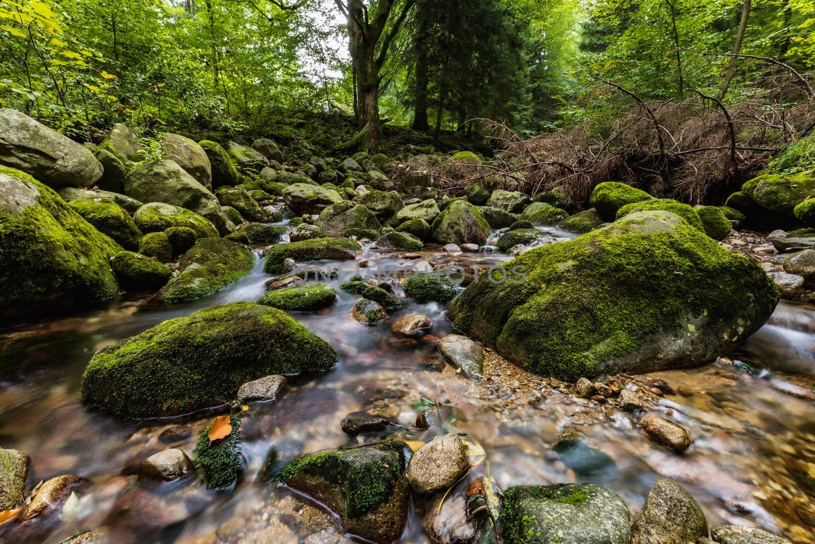 Beautiful small waterfall full of small and big rocks and stones with green trees around next to mountain trail in Giant mountains 