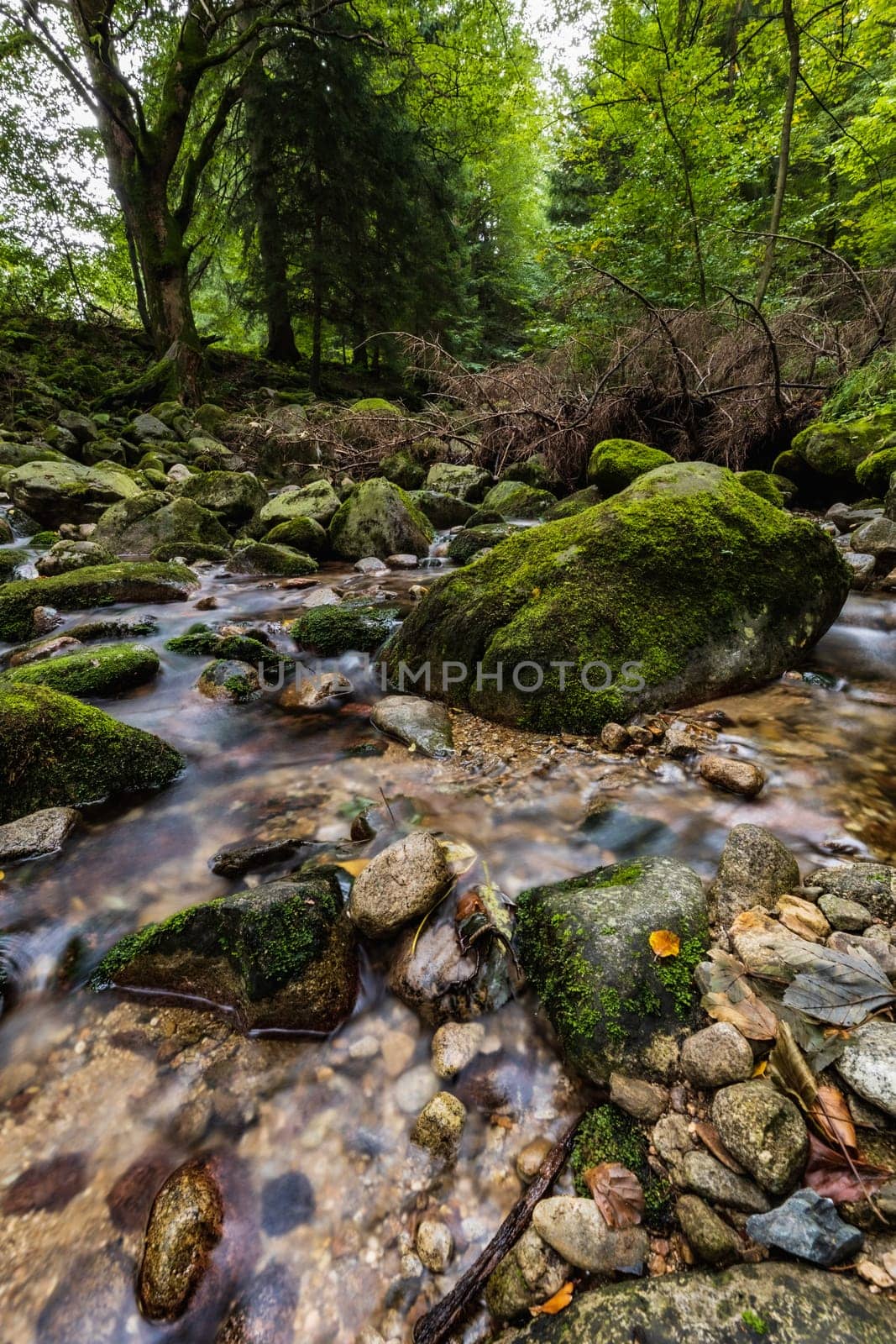 Beautiful small waterfall full of small and big rocks and stones with green trees around next to mountain trail in Giant mountains 