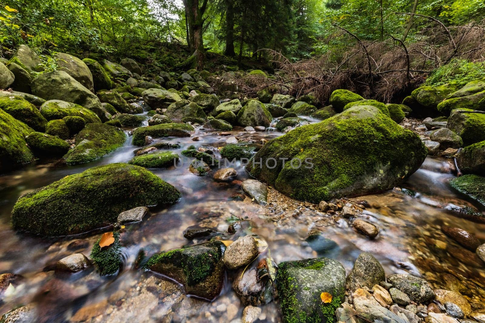 Beautiful small waterfall full of small and big rocks and stones with green trees around next to mountain trail in Giant mountains 