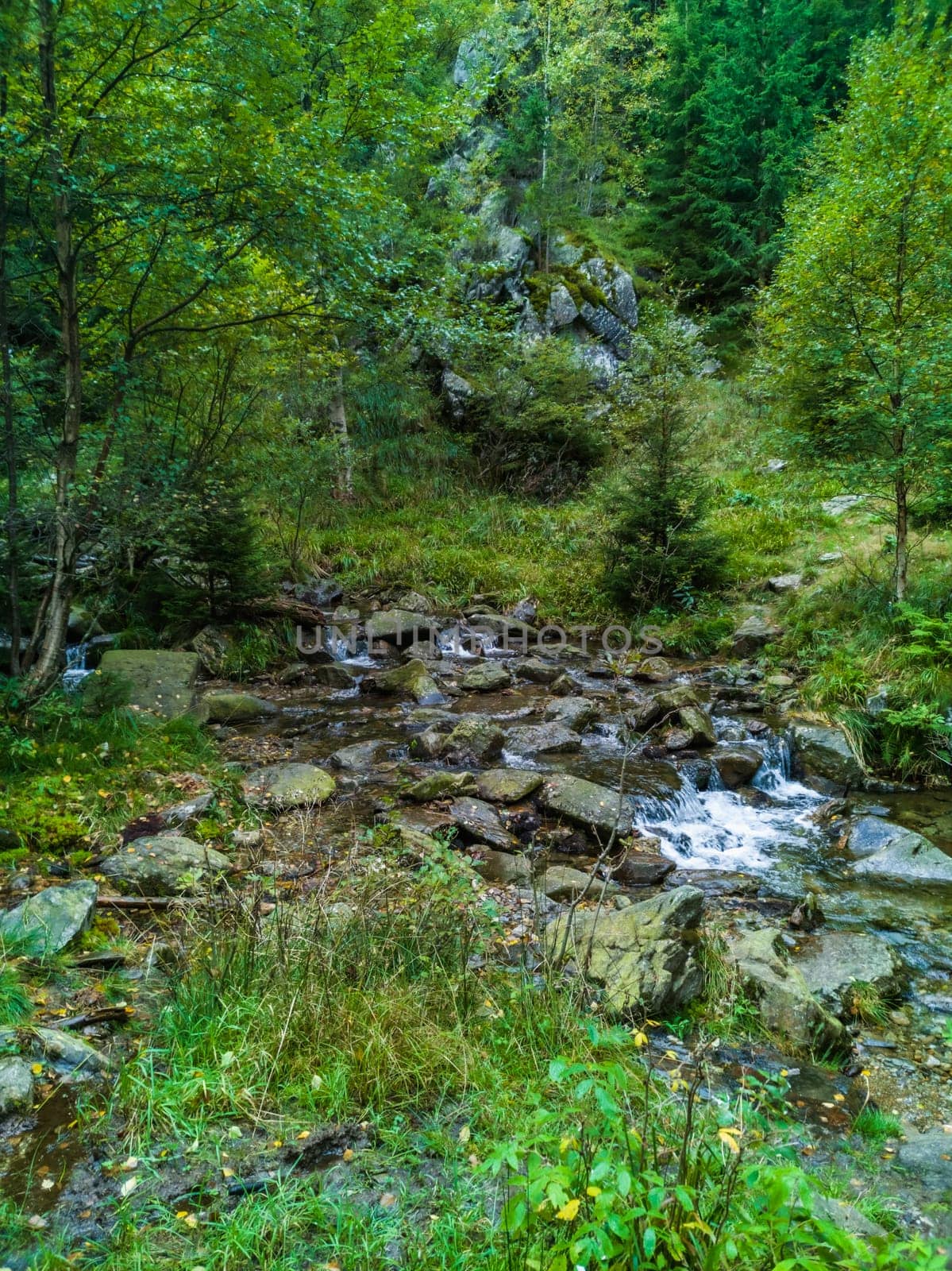 Beautiful small waterfall full of small and big rocks and stones with green trees around next to mountain trail in Giant mountains  by Wierzchu