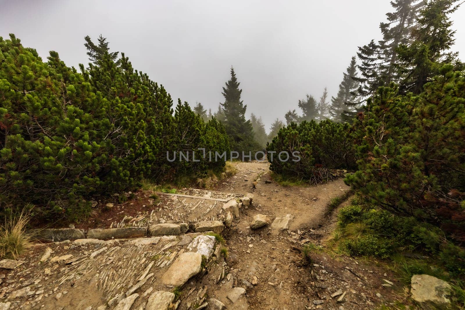 Long stony mountain trail over Sniezka mountain in Giant mountains with beautiful cloudy green landscape around by Wierzchu