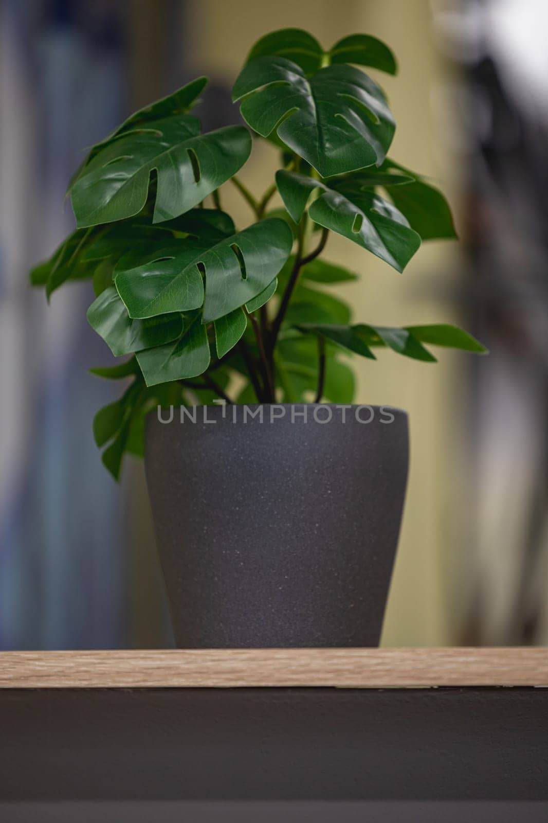 Green artificial flower with a lot of plastic leaves in gray concrete flower pot