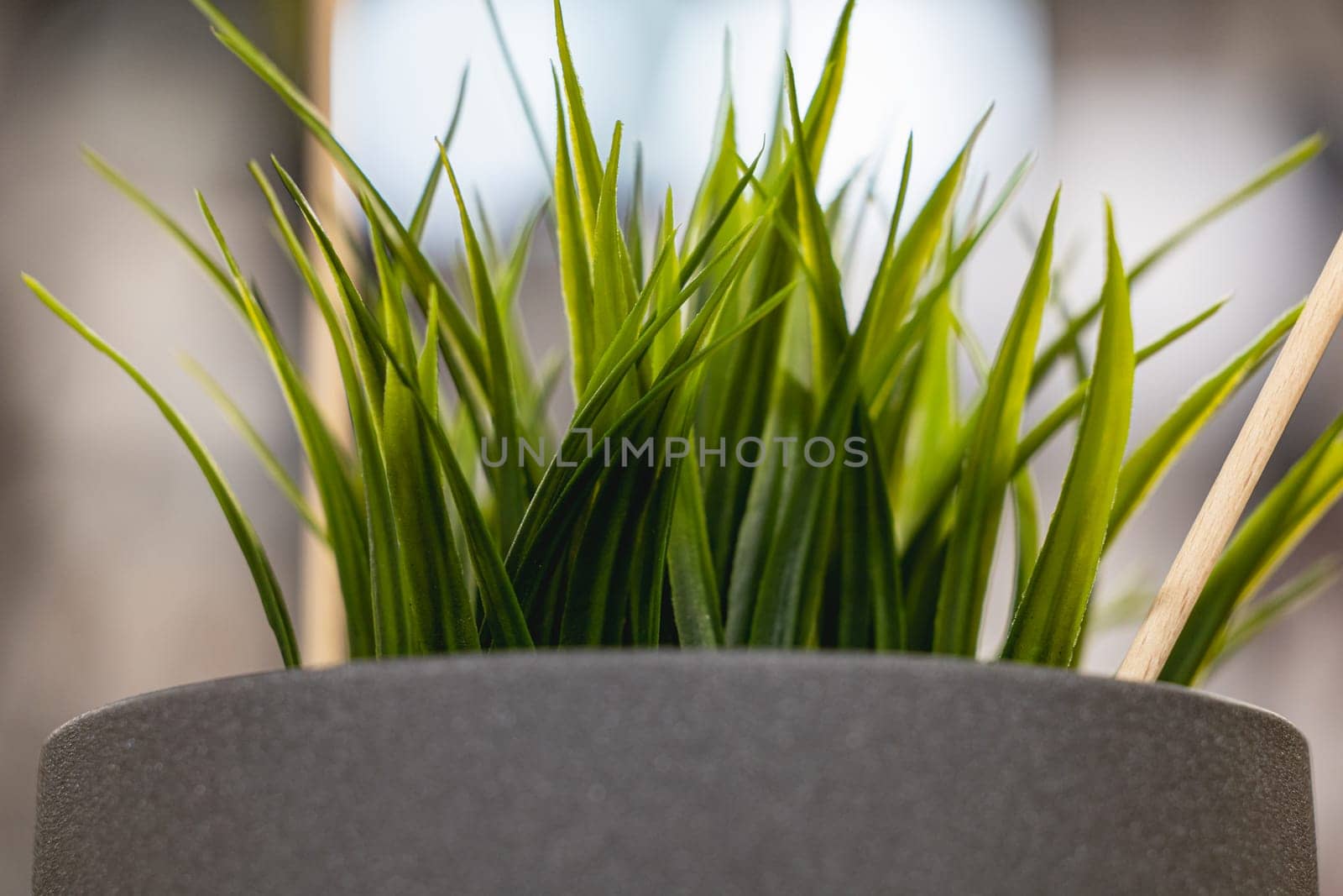 Green artificial grass with a lot of plastic stems in gray concrete flower pot