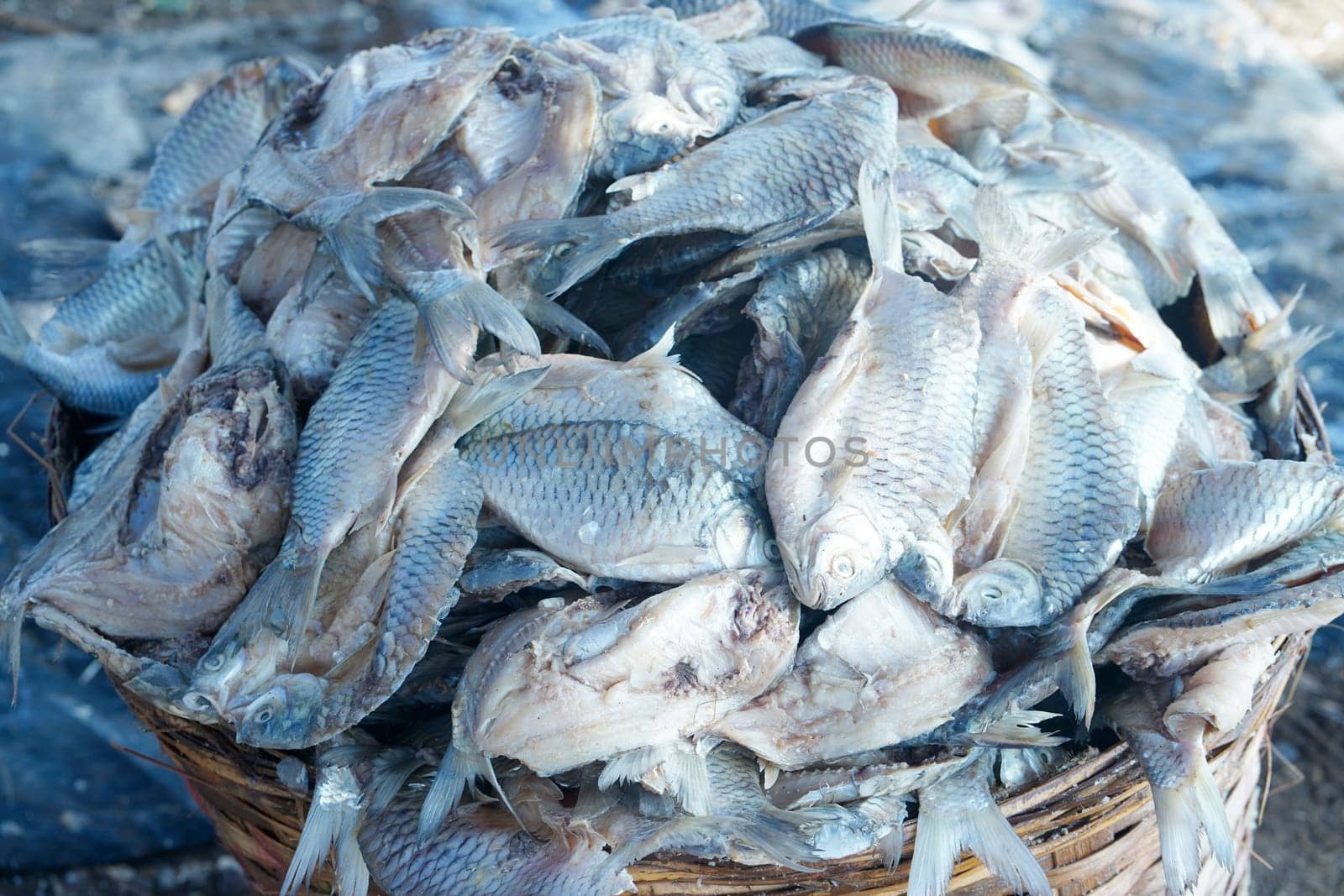 Traditional process of drying the salted fish under direct sunlight in Gresik, Indonesia. Street Photography