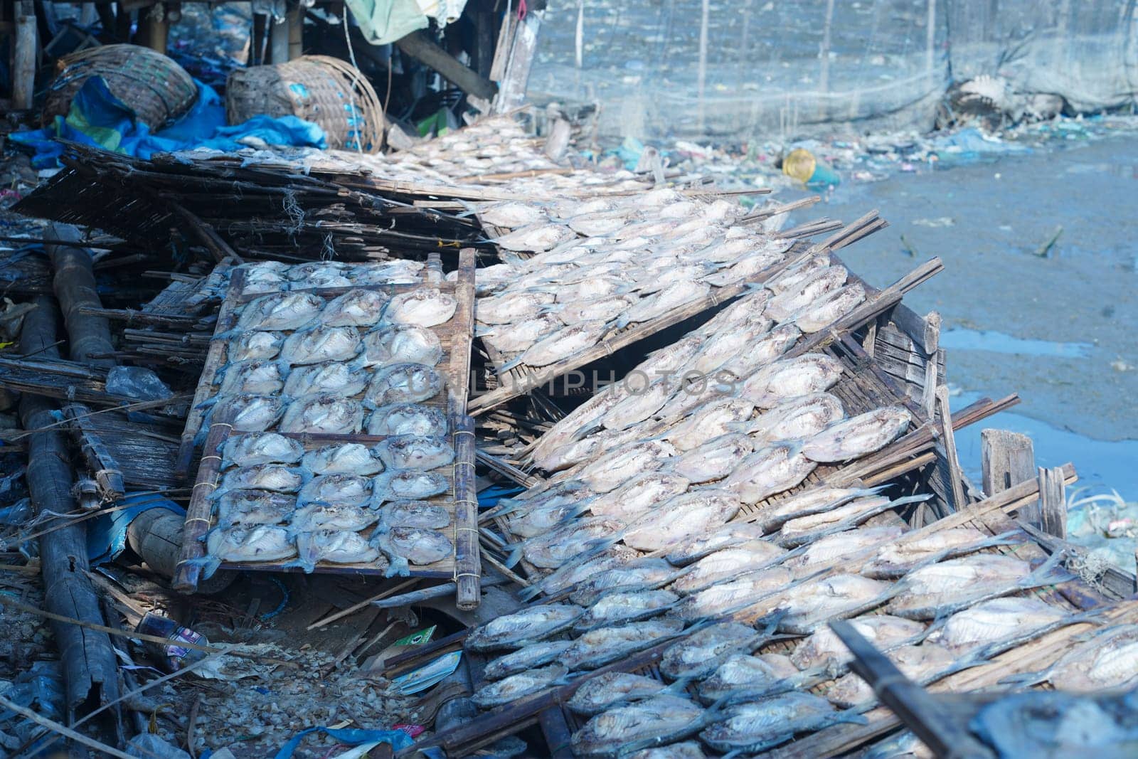 Traditional process of drying the salted fish under direct sunlight in Gresik, Indonesia. Street Photography