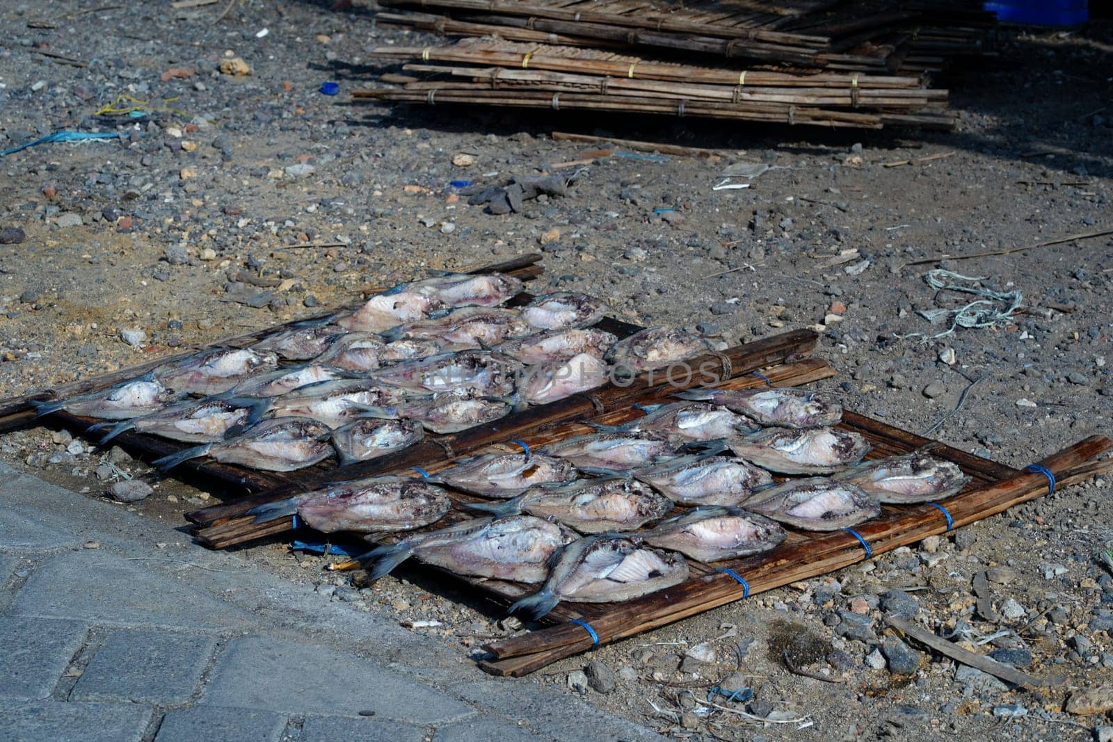 Traditional process of drying the salted fish under direct sunlight in Gresik, Indonesia. Street Photography
