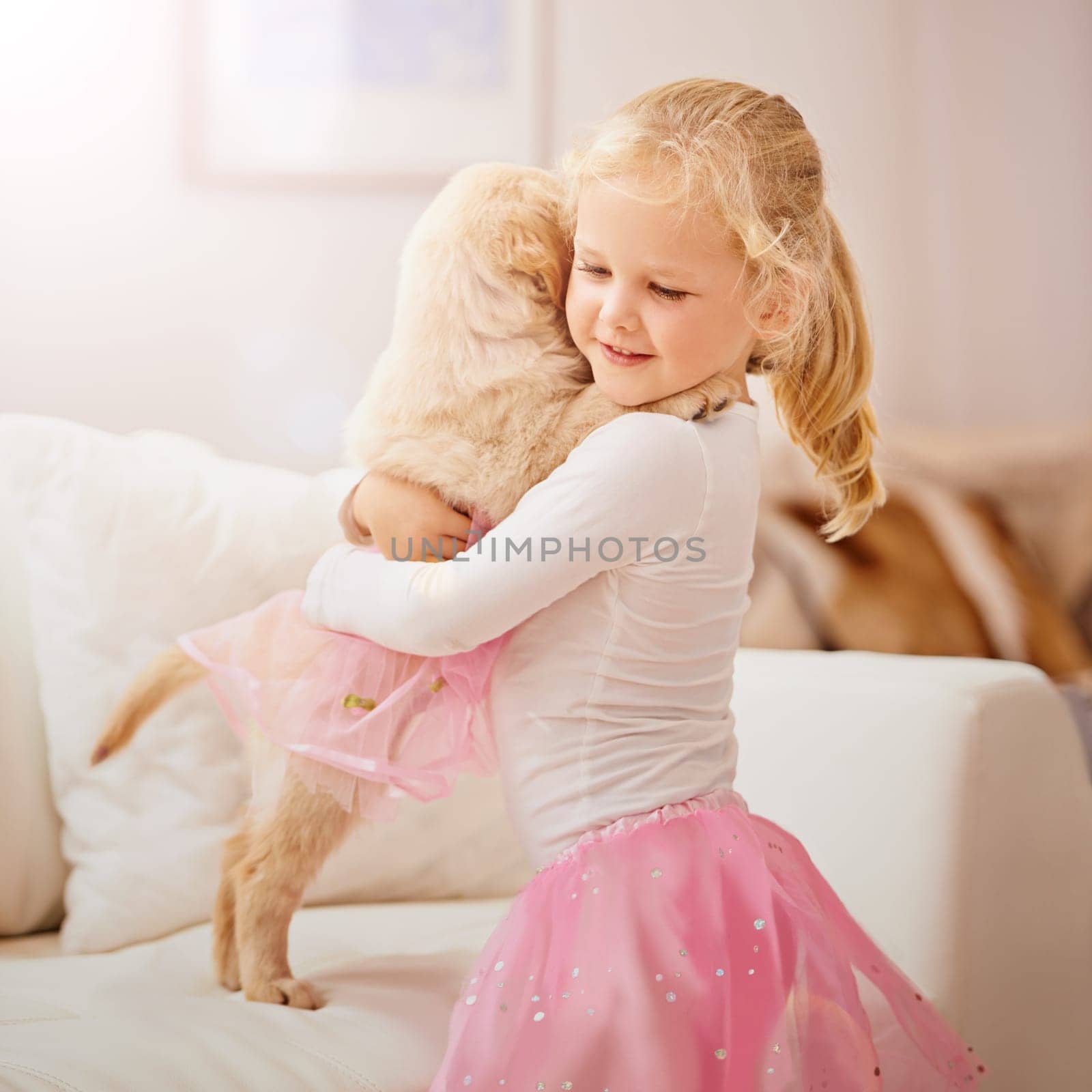 Child, golden retriever or dog in a house to hug for love, care and development. Face of a cute girl kid and animal puppy or pet in a tutu playing together as friends on the lounge sofa for happiness.