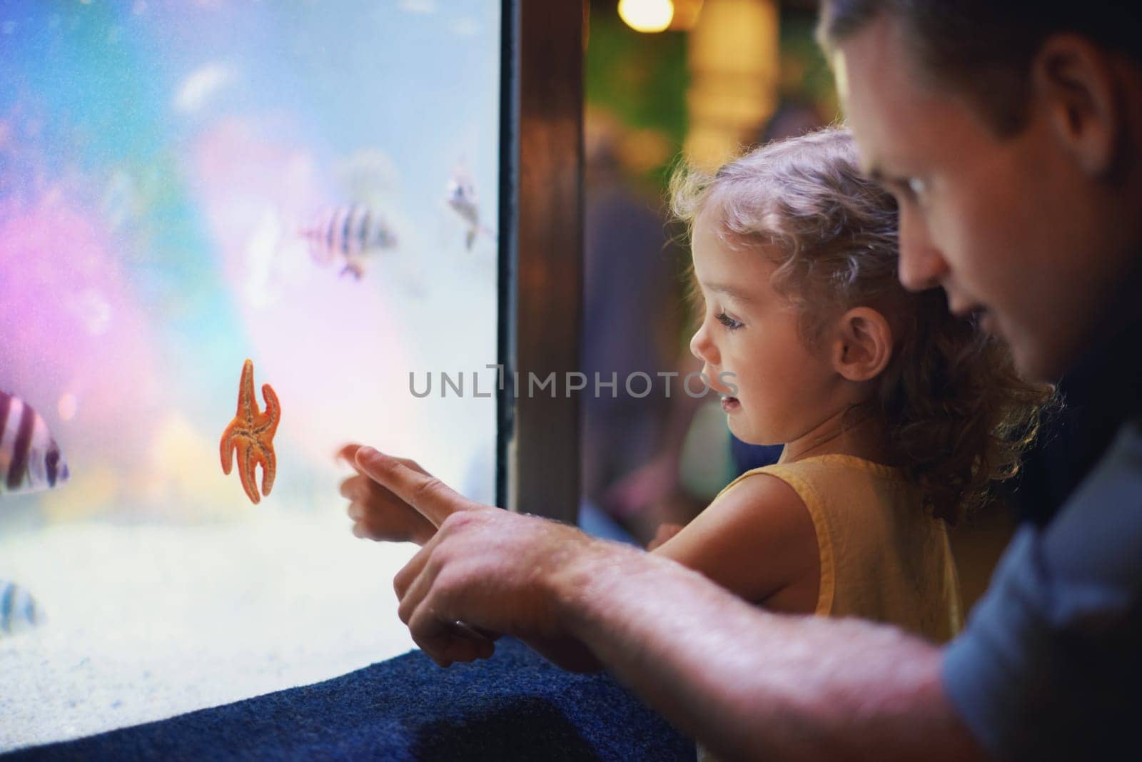 Father, aquarium and girl pointing at fish for learning, curiosity and knowledge, education and bonding. Dad, oceanarium and child with parent watching marine life underwater in fishtank on vacation. by YuriArcurs