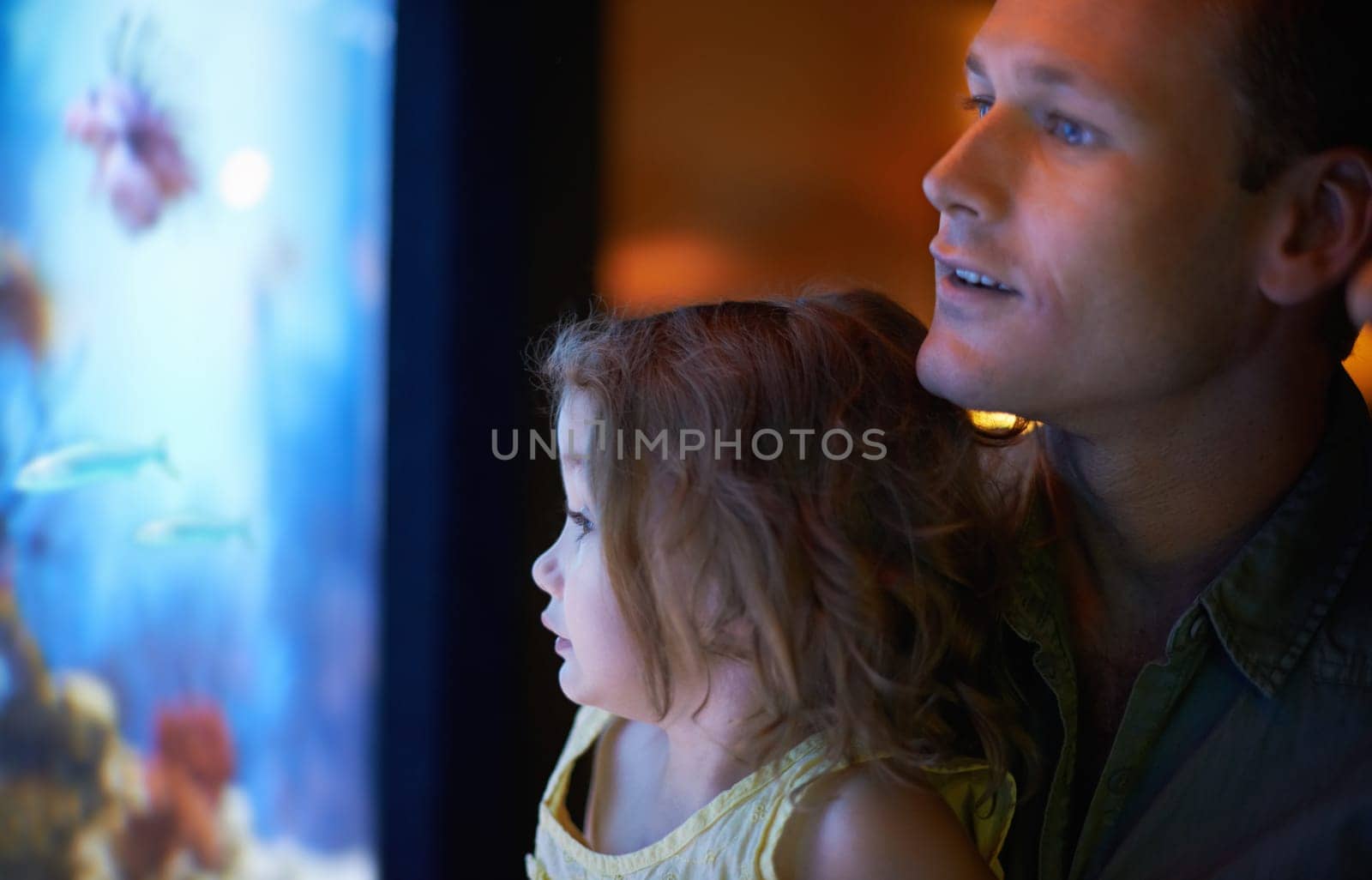 Father, aquarium and child looking at fish for learning, curiosity and knowledge, education and bonding together. Dad, fishtank and girl watching marine life or animals swim underwater in oceanarium