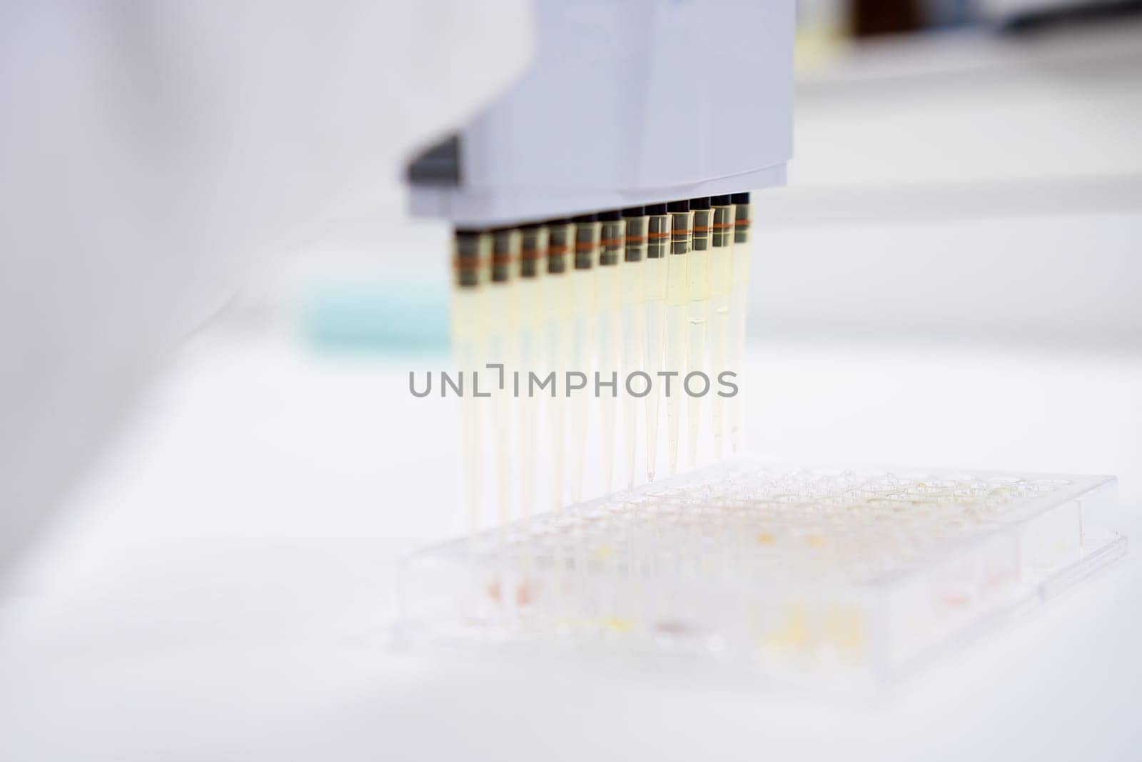 Scientist employs a multichannel pipette dispenser to load microplates for scientific tests. by vladimka
