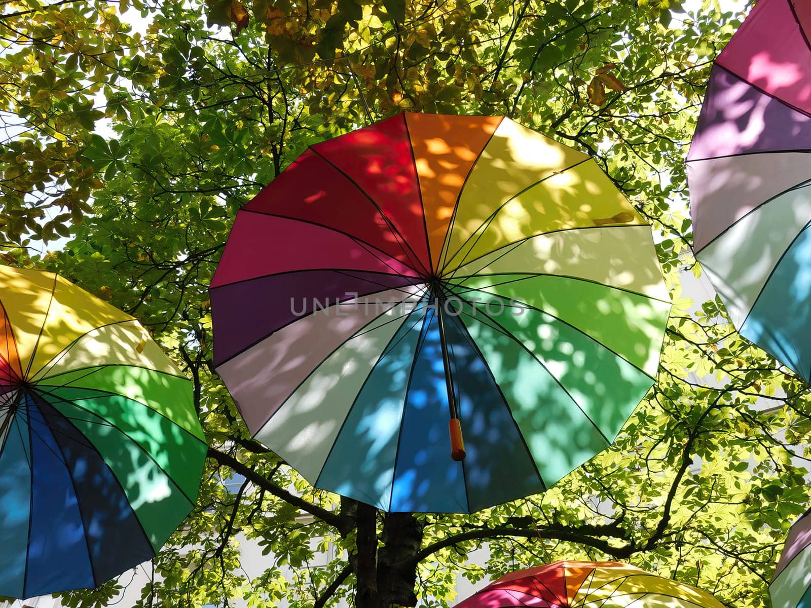 Pride rainbow umbrellas on trees background
