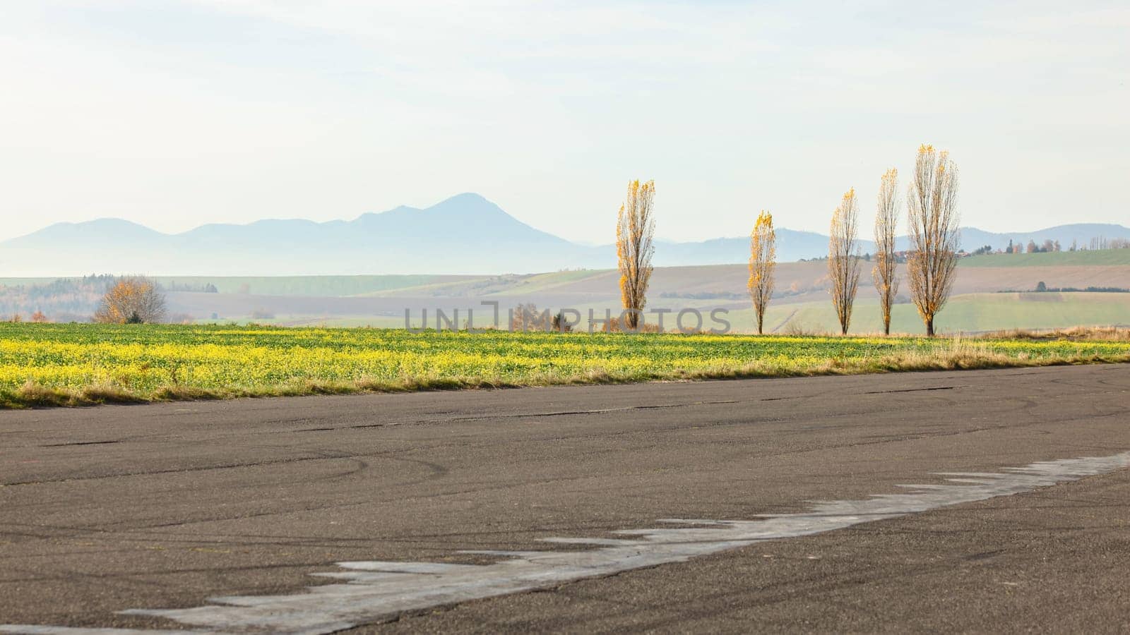 Simple minimal autumn landscape. Asphalt road, meadow, trees with few yellow laves, distant hazy mountain in background.