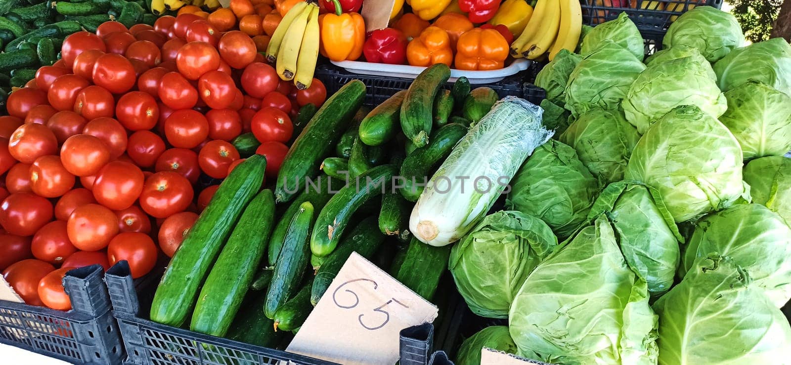 Supermarket vegetables showcase with ripe organic juicy tomatoes, cabbage and cucumbers. Vegan food. Agriculture. Agribusiness Top view. Healthy eating. Growing and harvesting bio organic vegetables