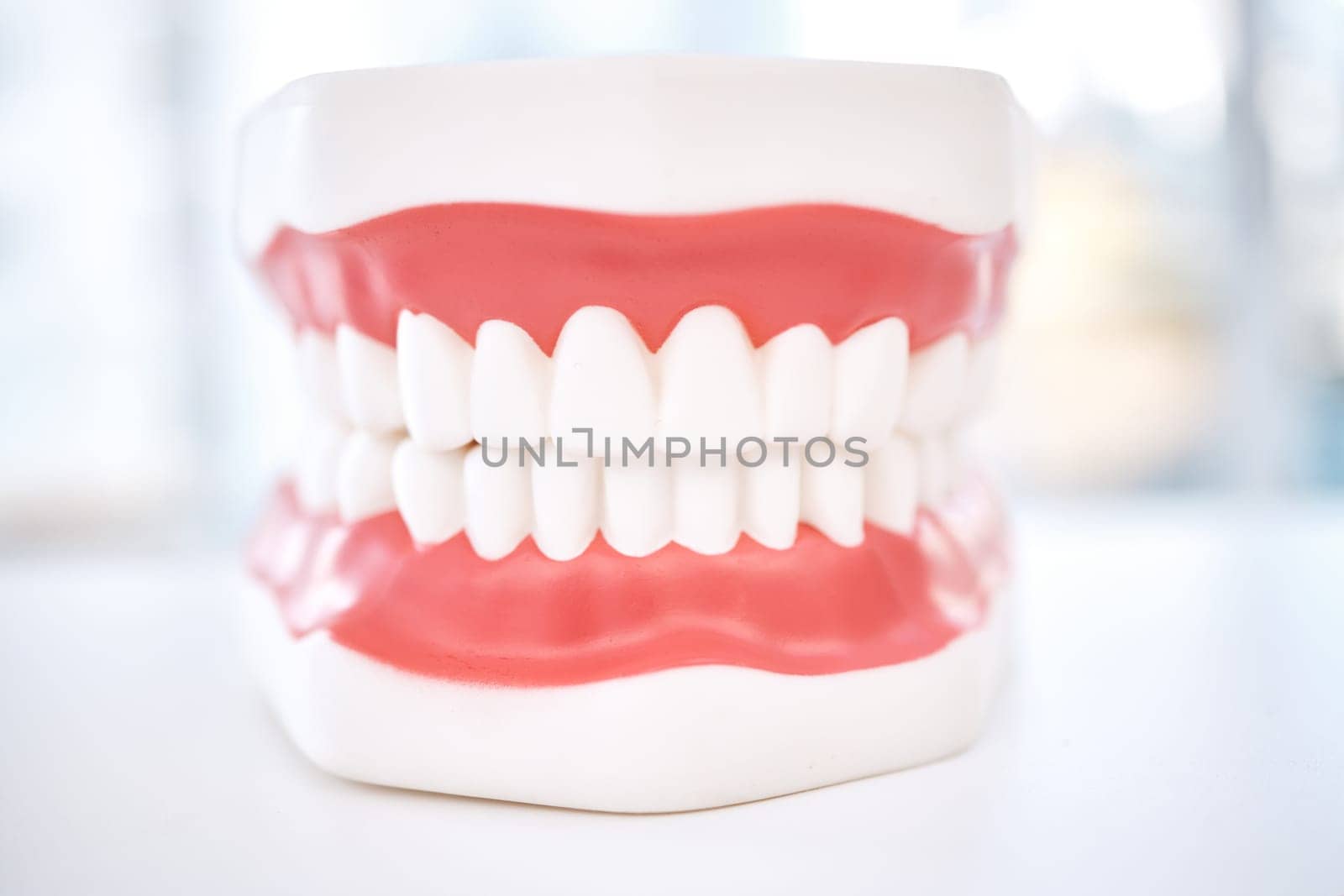 Dental, teeth model and orthodontics with healthcare and closeup, oral hygienist and health insurance. Veneers, dentistry equipment and healthy gums with fresh breath, medical and tooth care.