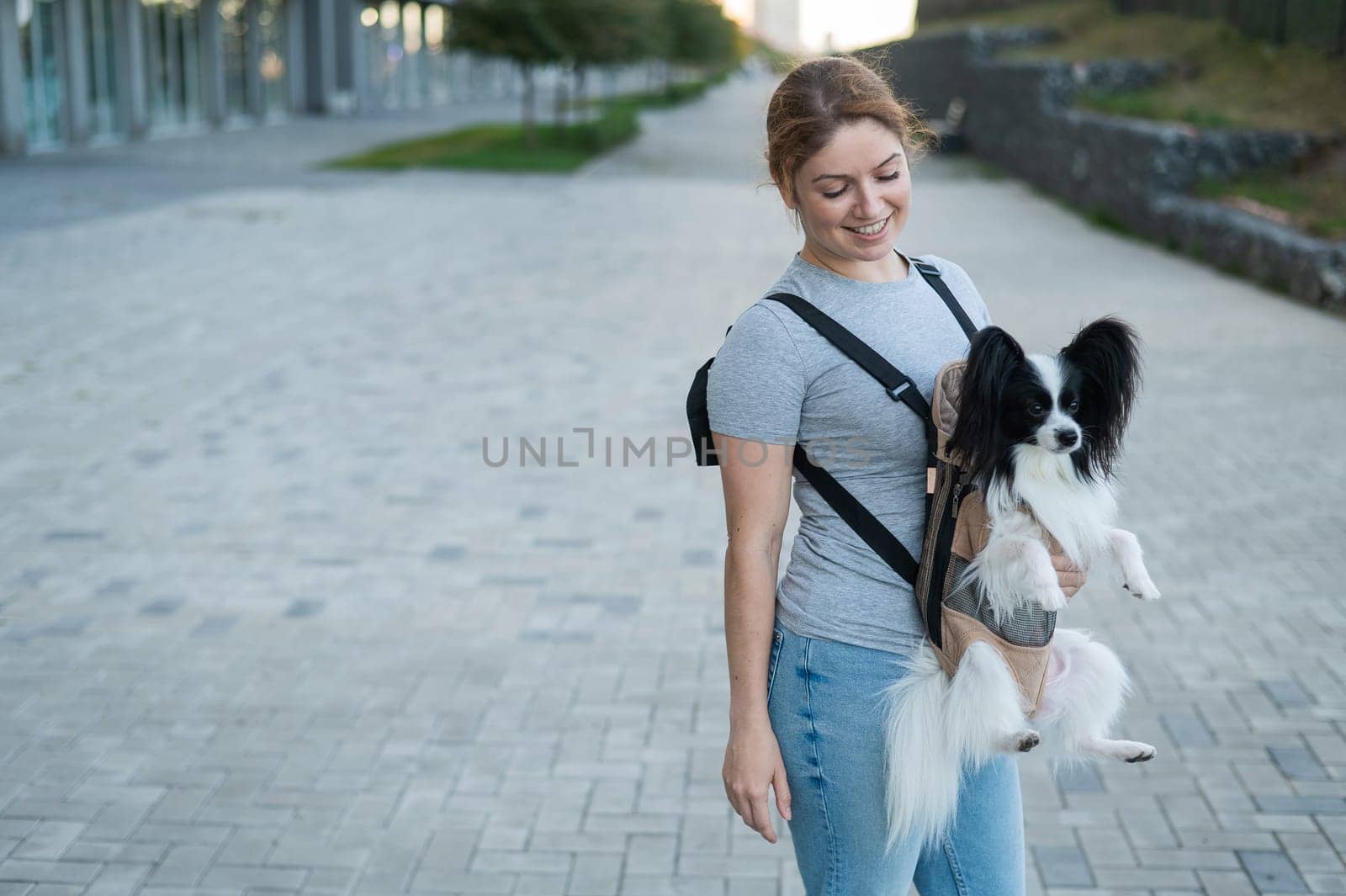 Happy caucasian woman walking with a dog in a backpack. Papillon Spaniel Continental in a sling. by mrwed54