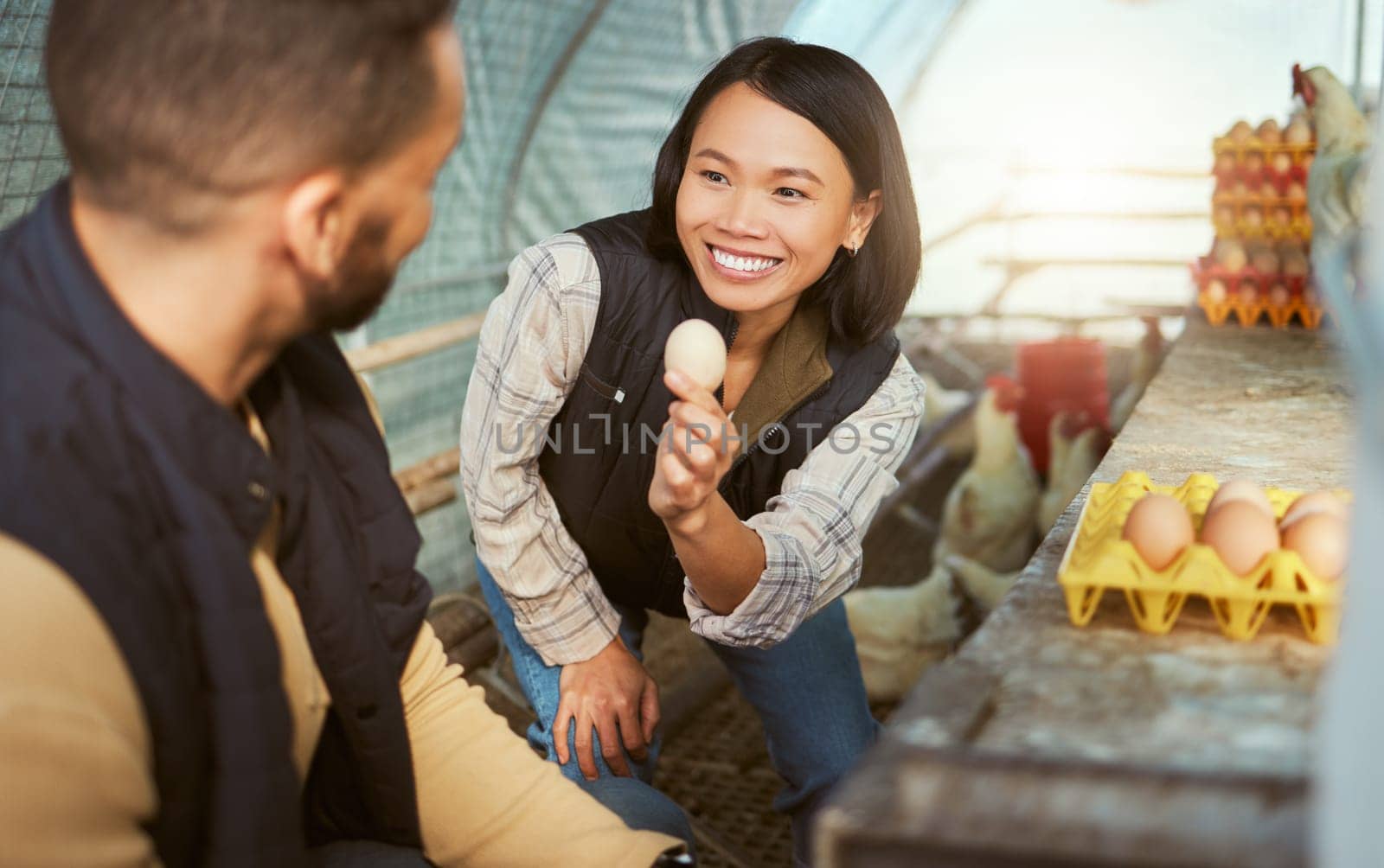 Asian woman, egg production and chicken farmers check barn, hen house and birds for production, supply chain and food industry. Happy worker, poultry farming and eggs for inspection, growth or export.