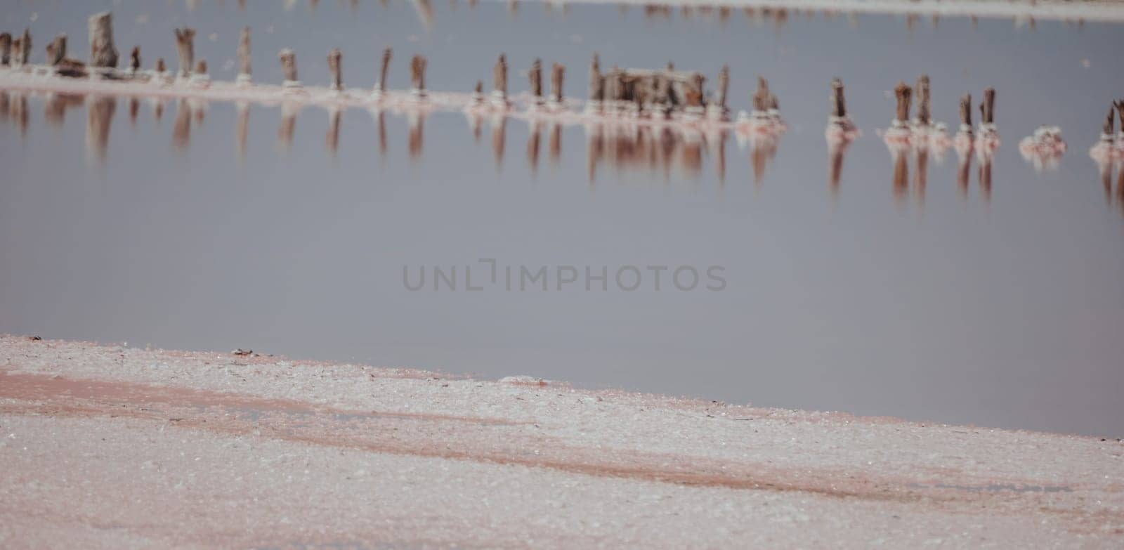 Pink salt crystals. Natural pink salt lake texture. Salt mining. Extremely salty pink lake, colored by microalgae with crystalline salt depositions by panophotograph