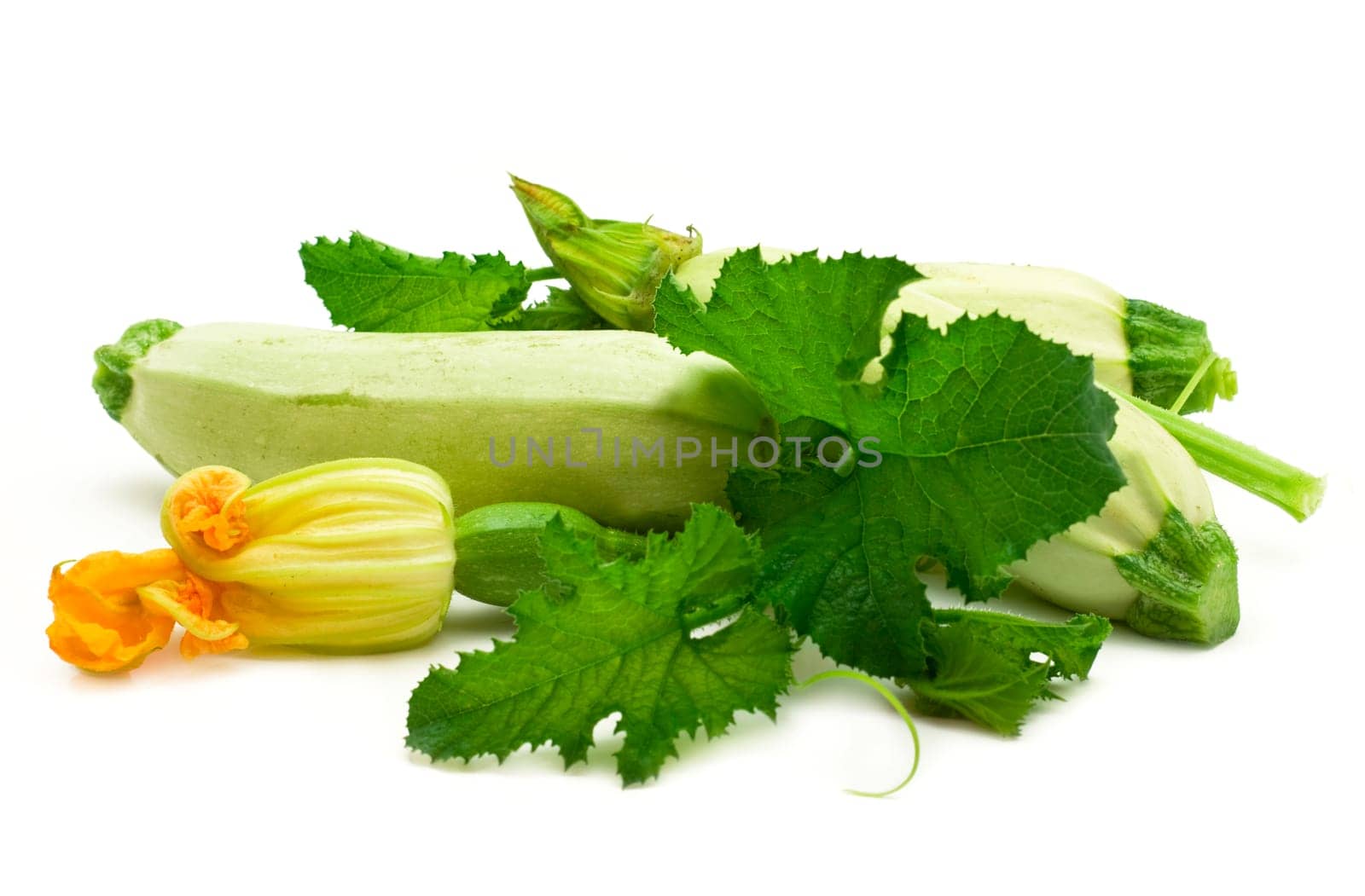 Flowers, leaves and vegetable marrow fruits isolated on a white background by aprilphoto