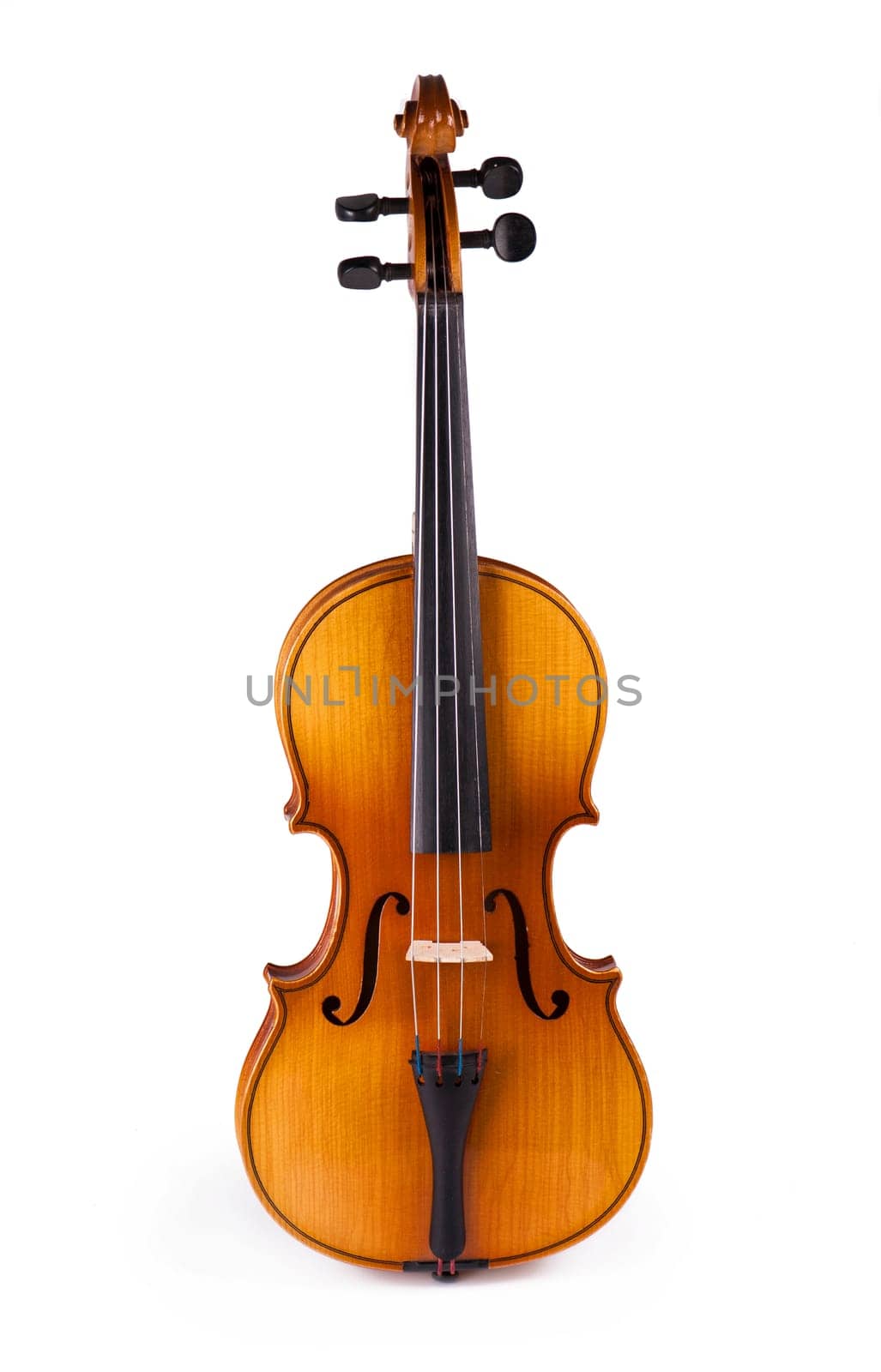 Violin isolated on white background, a symbol of classical music by aprilphoto