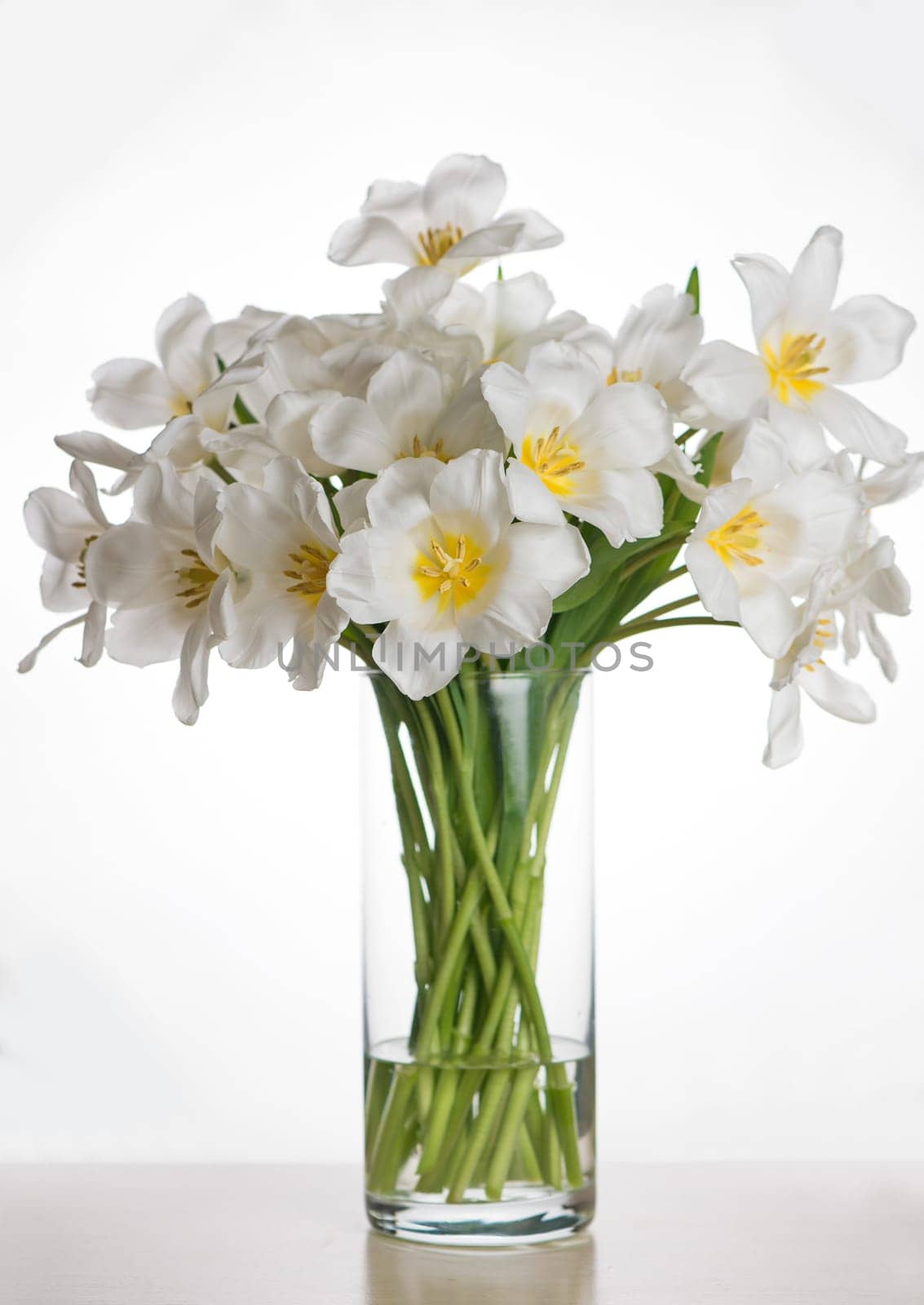 bouquet of fresh white tulips in glass vase on a table in the interior of a modern apartment by aprilphoto