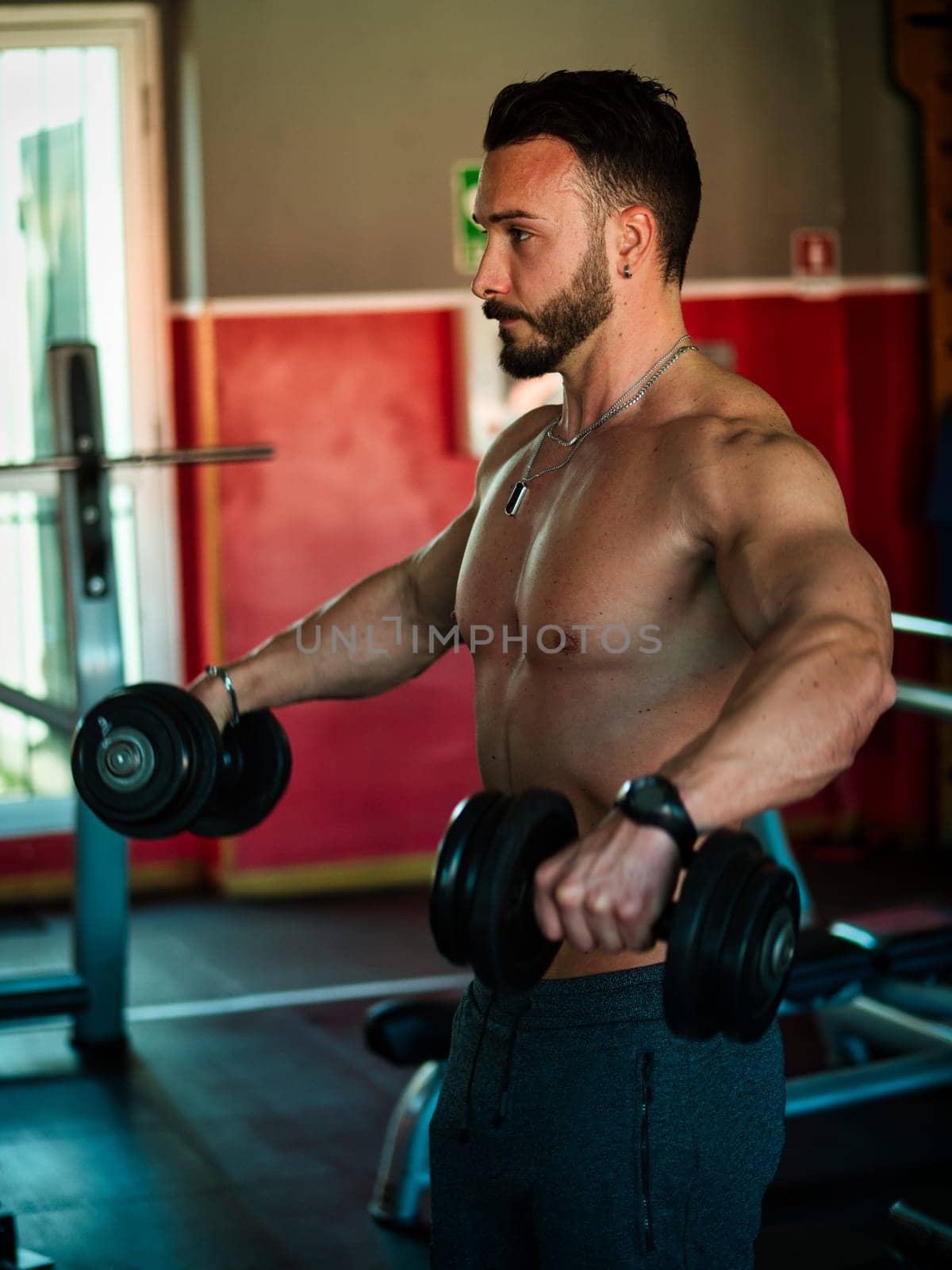 Attractive and fit young man in gym working out shoulders and exercising with dumbbells