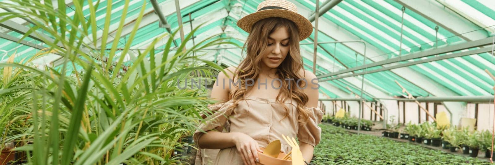 A beautiful young woman takes care of plants in a greenhouse. The concept of gardening and an eco-friendly lifestyle. by Annu1tochka