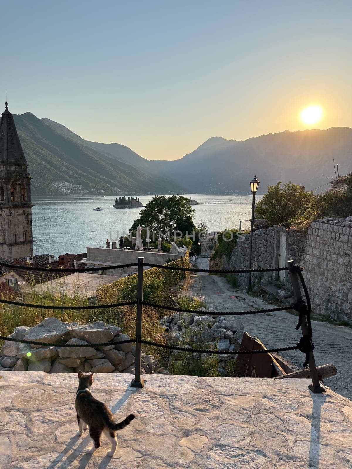 Cat stands on the observation deck near the Church of St. Nicholas. Perast, Montenegro. High quality photo