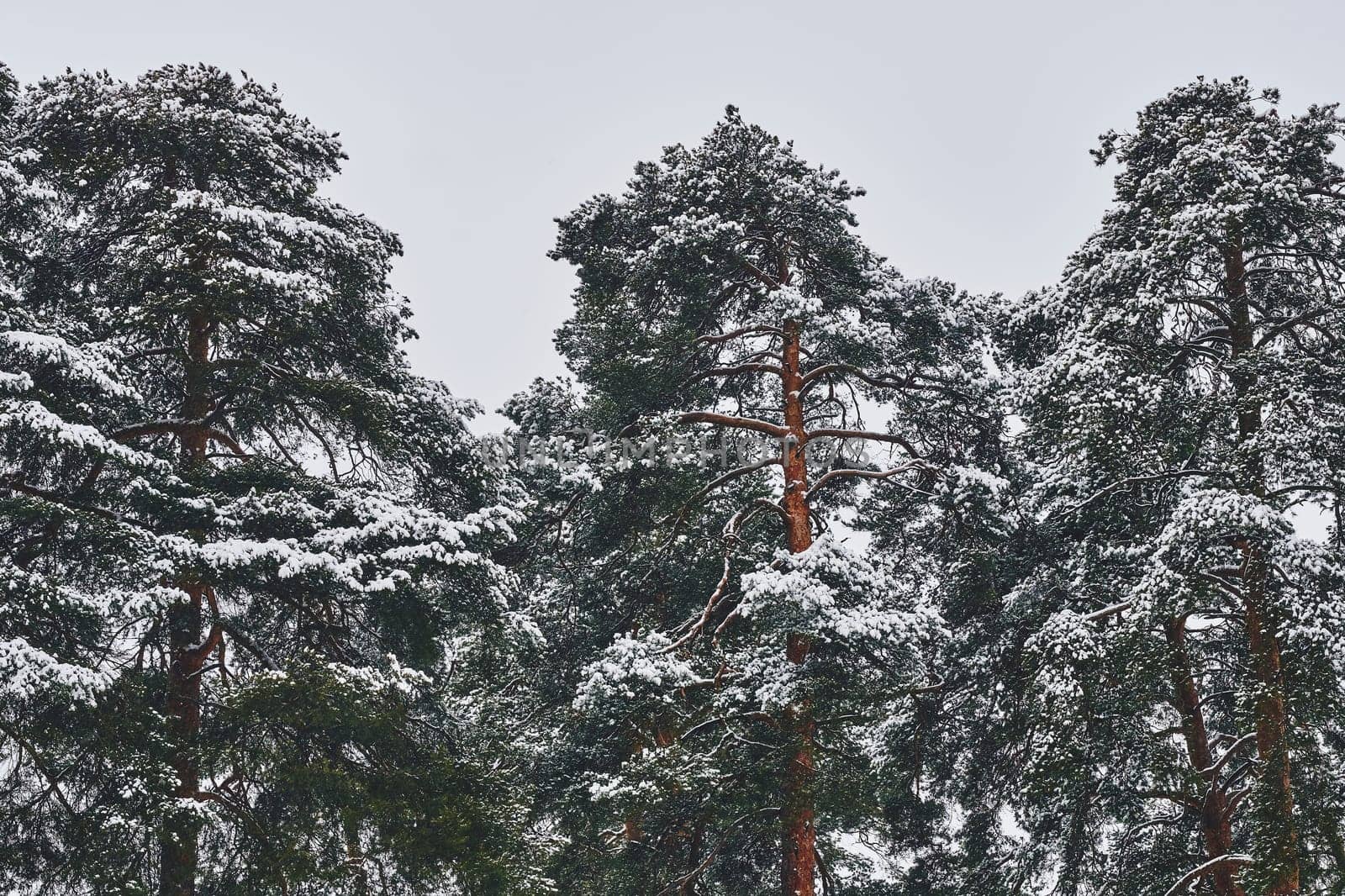 the coldest season of the year, in the northern hemisphere from December to February and in the southern hemisphere from June to August.