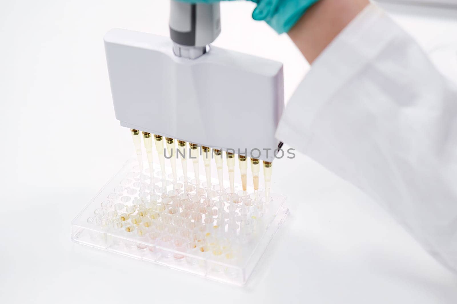 A multichannel pipette dispenser is used to load microplates for clinical diagnostic testing by vladimka