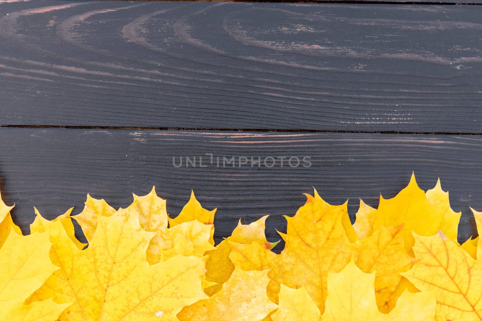 Autumn leaves frame on one down side wooden background top view Fall Border yellow and Orange Leaves vintage wood table Copy space. Mock up for your design. Display for product or text
