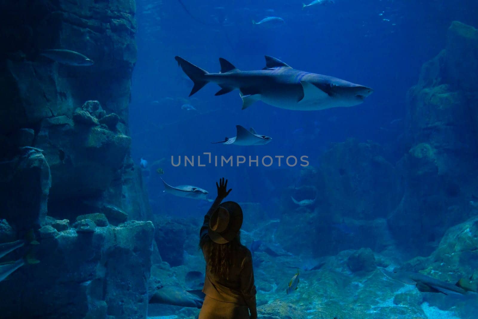 A young woman touches a stingray fish in an oceanarium tunnel.