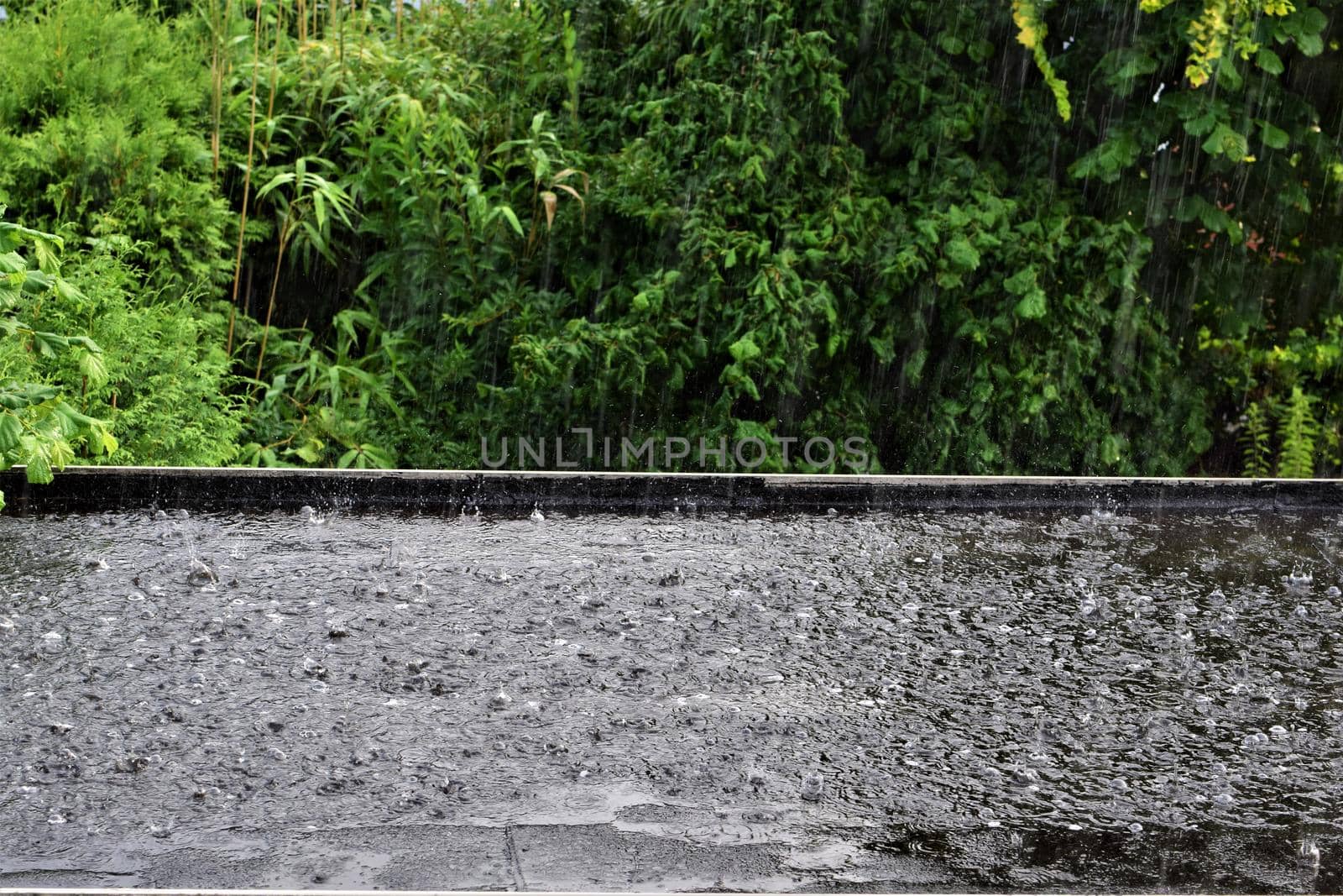 Heavy summer rain on a black flat roof against green bushes and trees